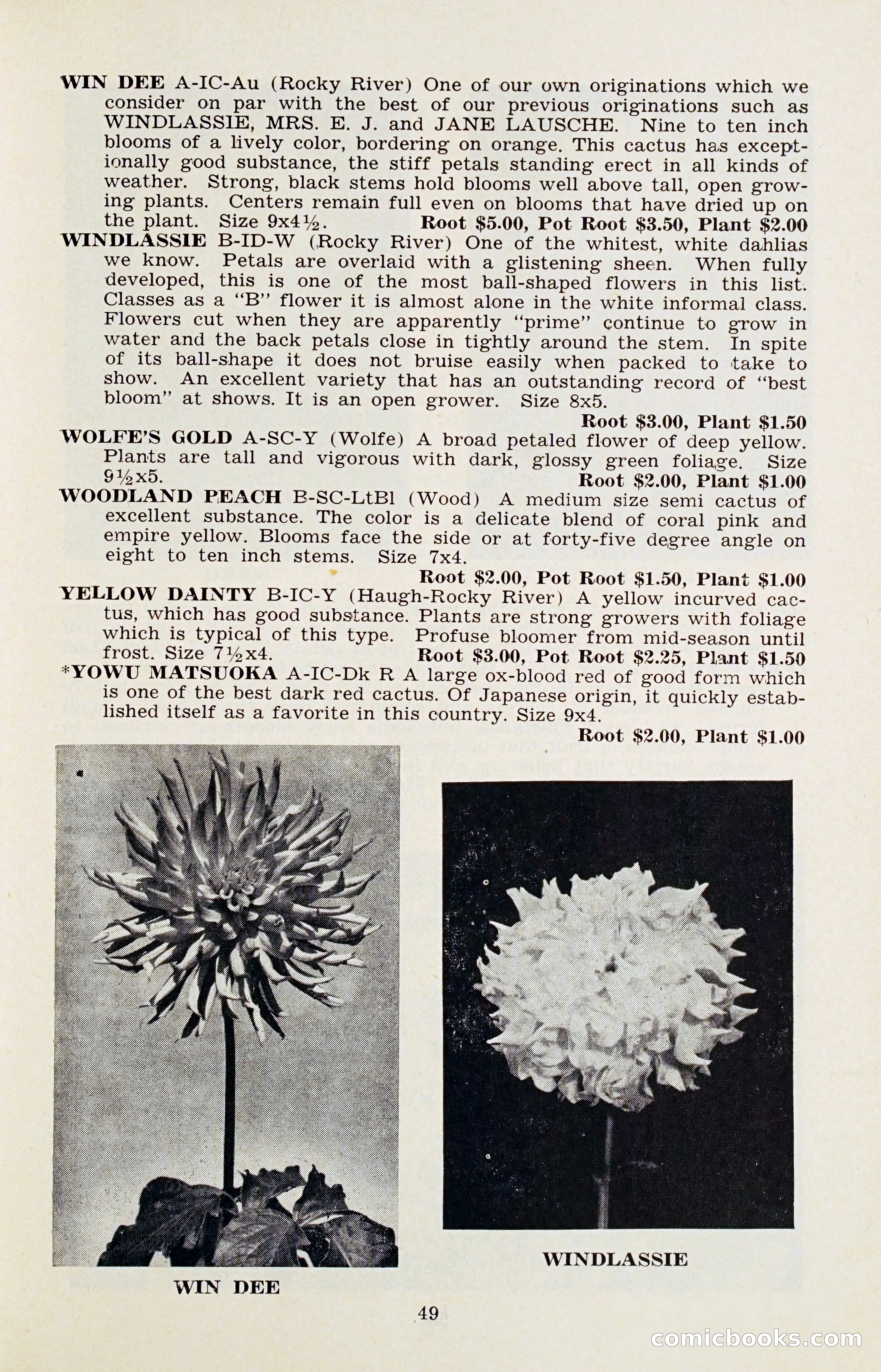 The Dahlia Blue Book for 1956 — page 52 of 69