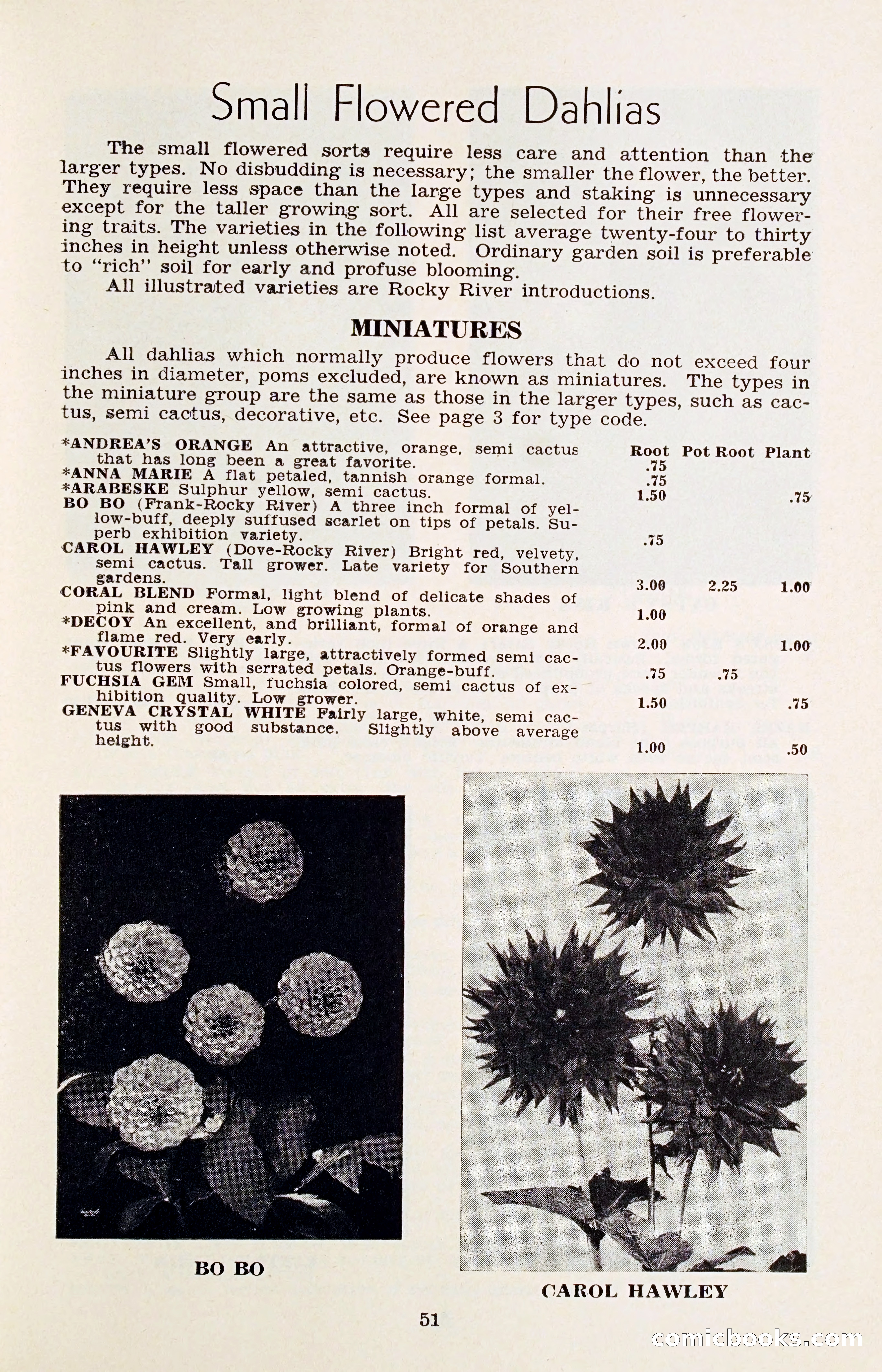 The Dahlia Blue Book for 1956 — page 54 of 69