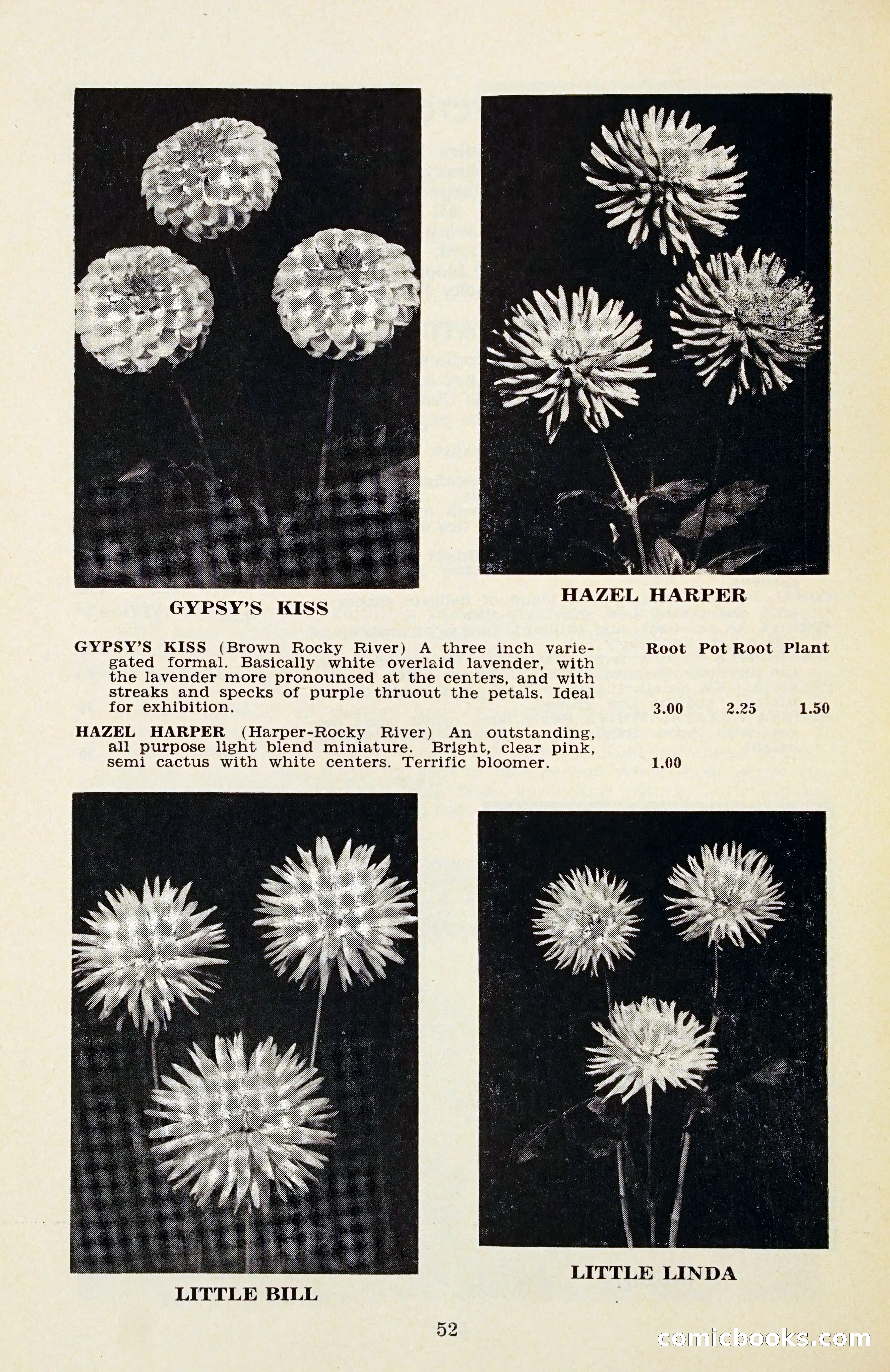 The Dahlia Blue Book for 1956 — page 55 of 69