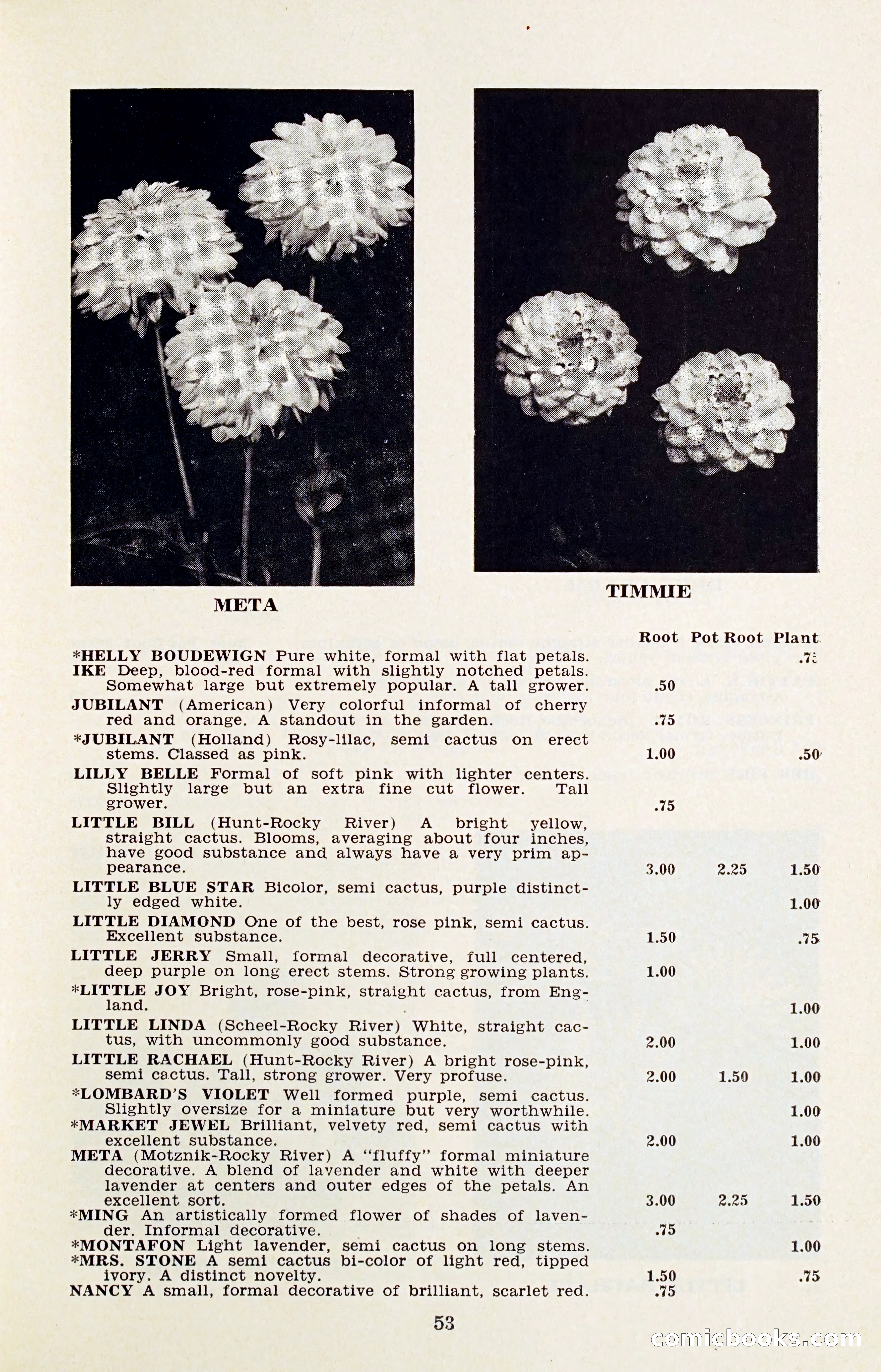 The Dahlia Blue Book for 1956 — page 56 of 69
