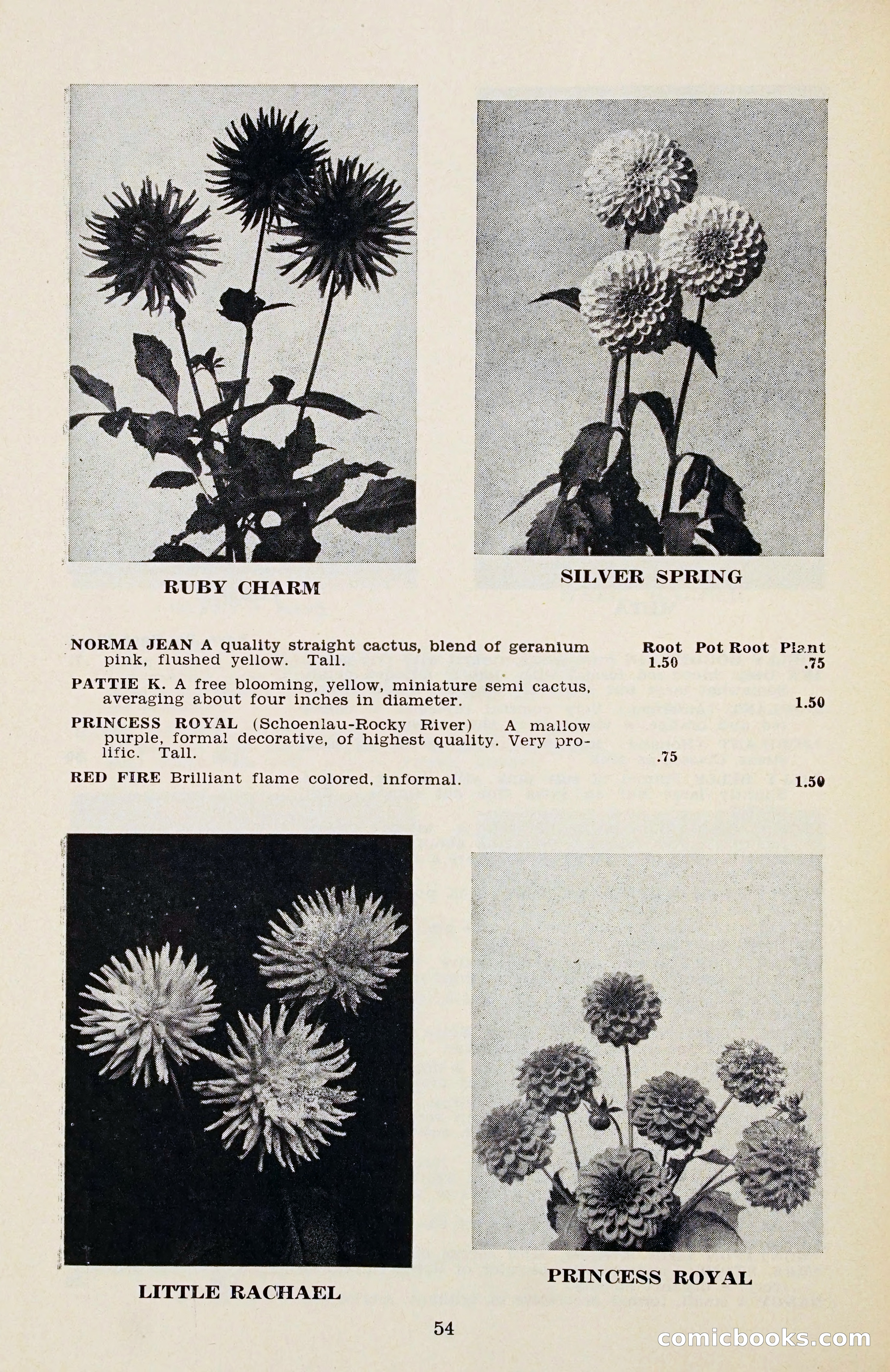The Dahlia Blue Book for 1956 — page 57 of 69