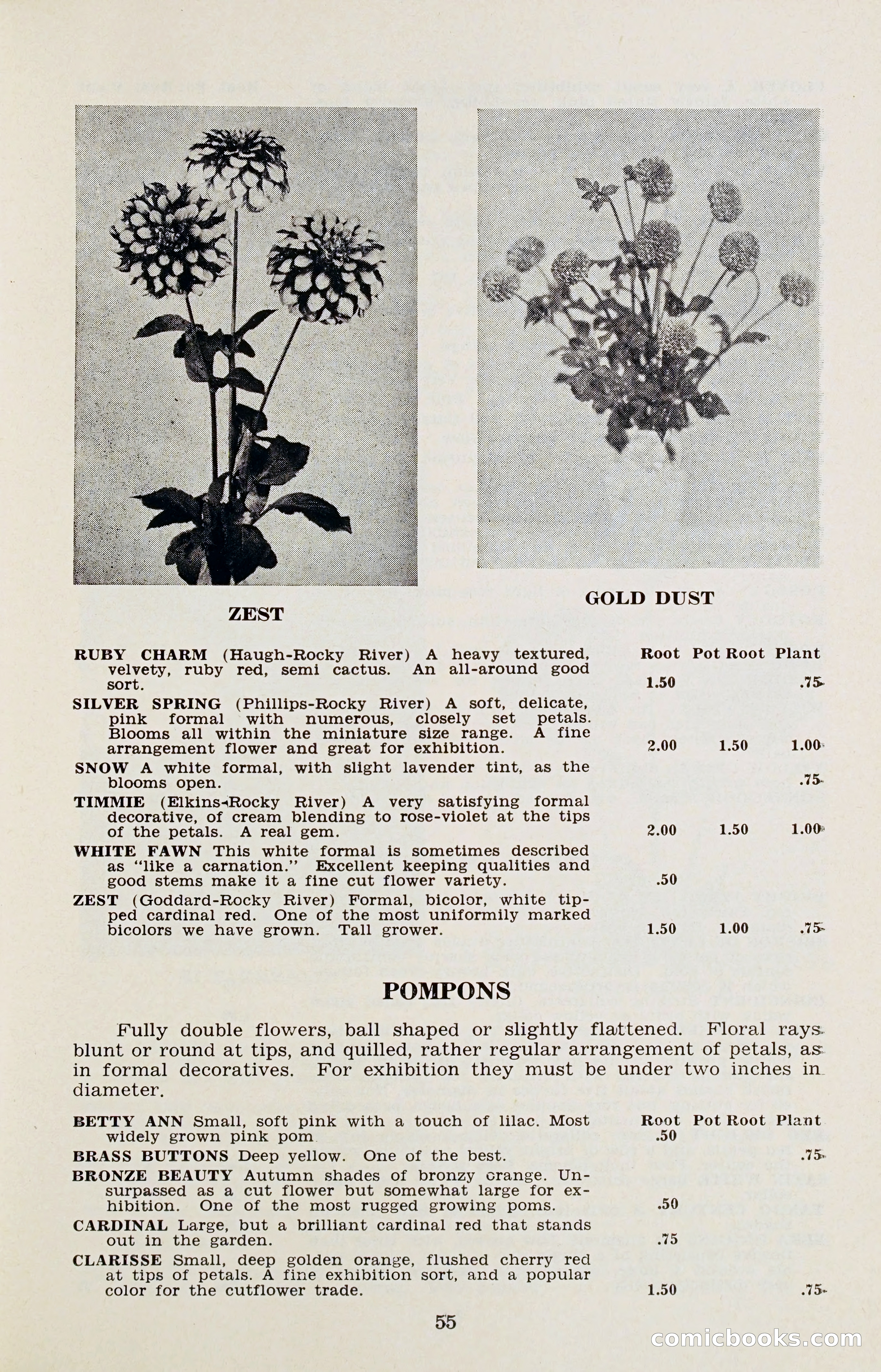 The Dahlia Blue Book for 1956 — page 58 of 69