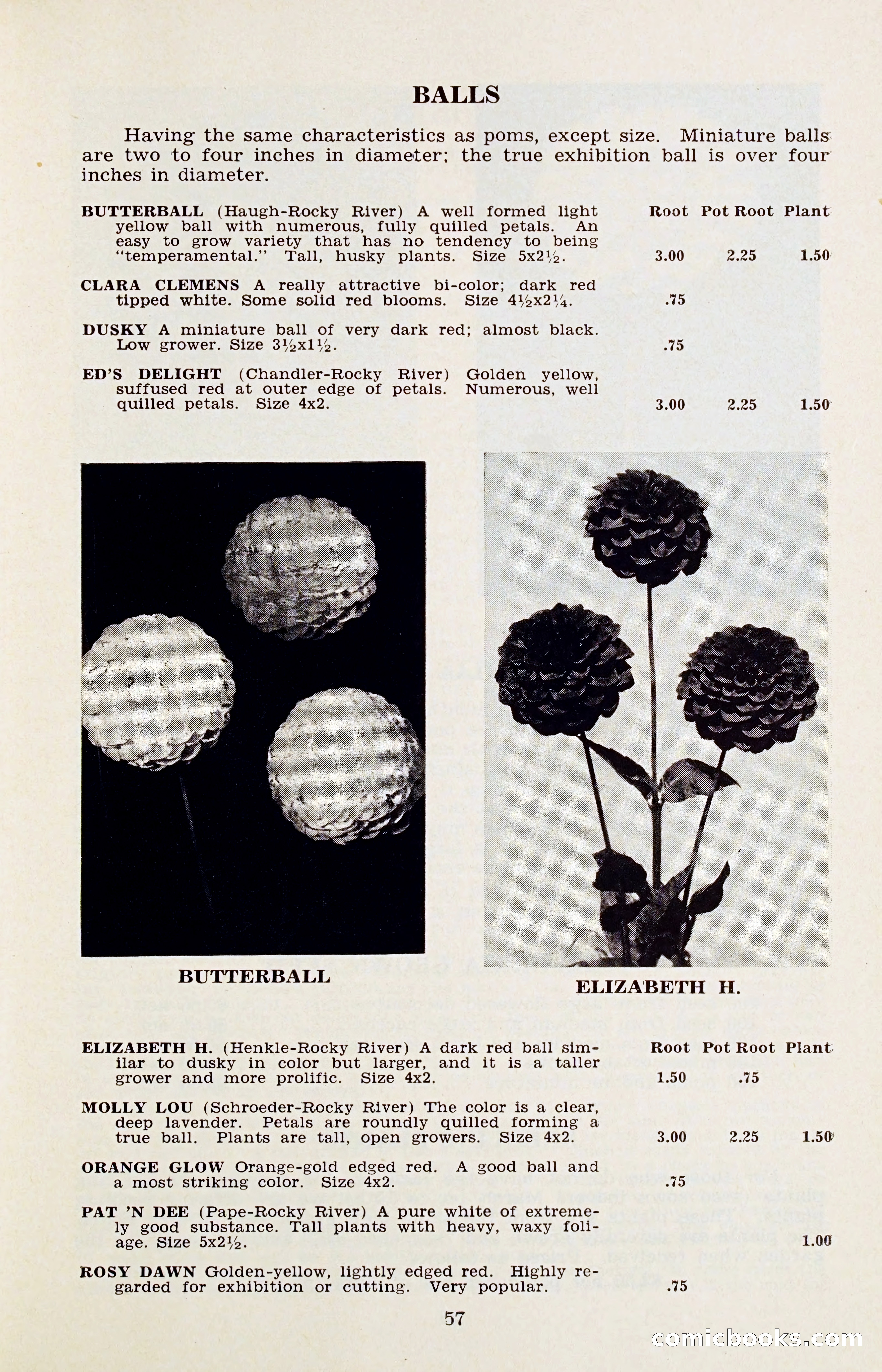 The Dahlia Blue Book for 1956 — page 60 of 69