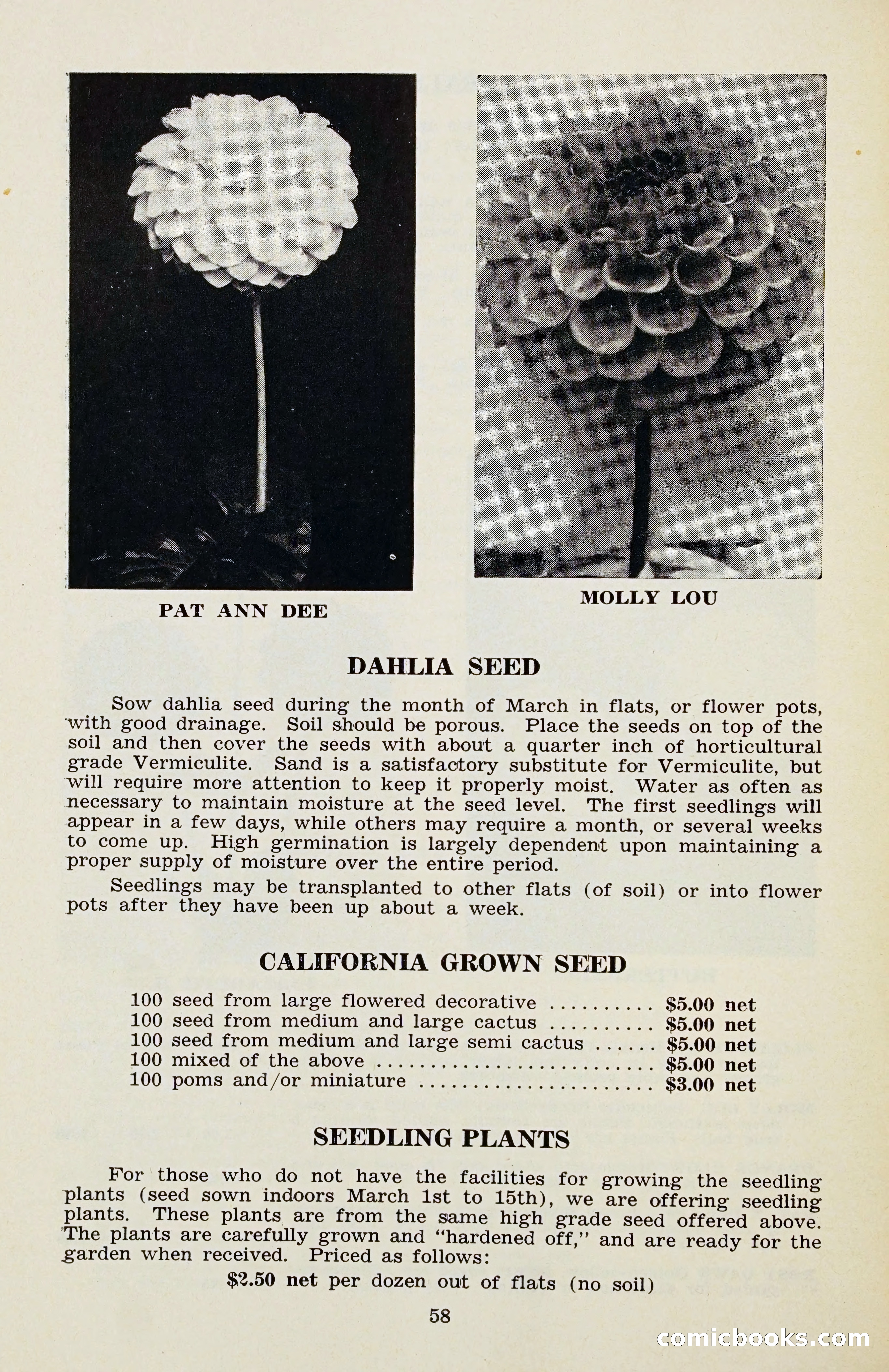 The Dahlia Blue Book for 1956 — page 61 of 69