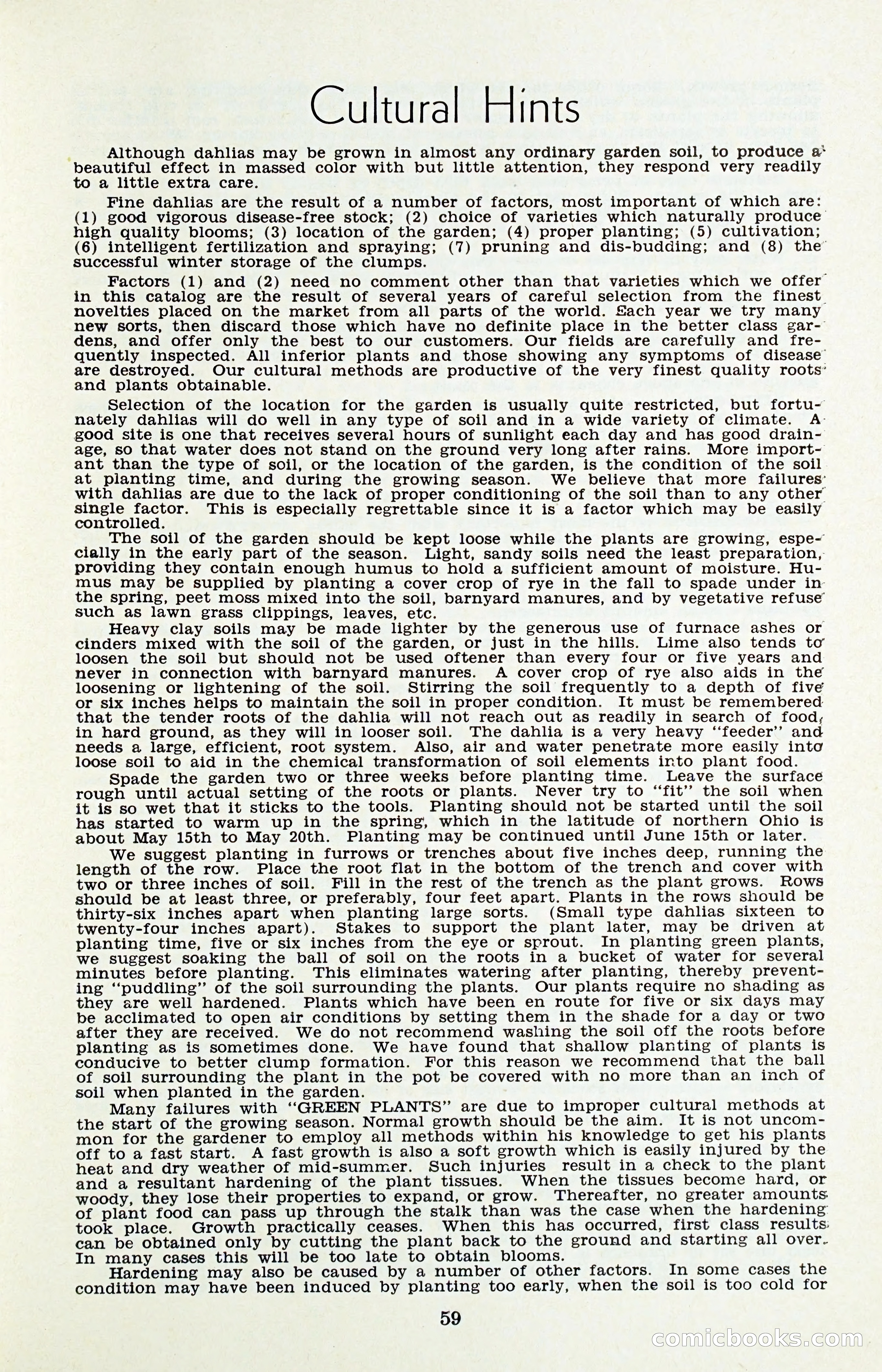 The Dahlia Blue Book for 1956 — page 62 of 69