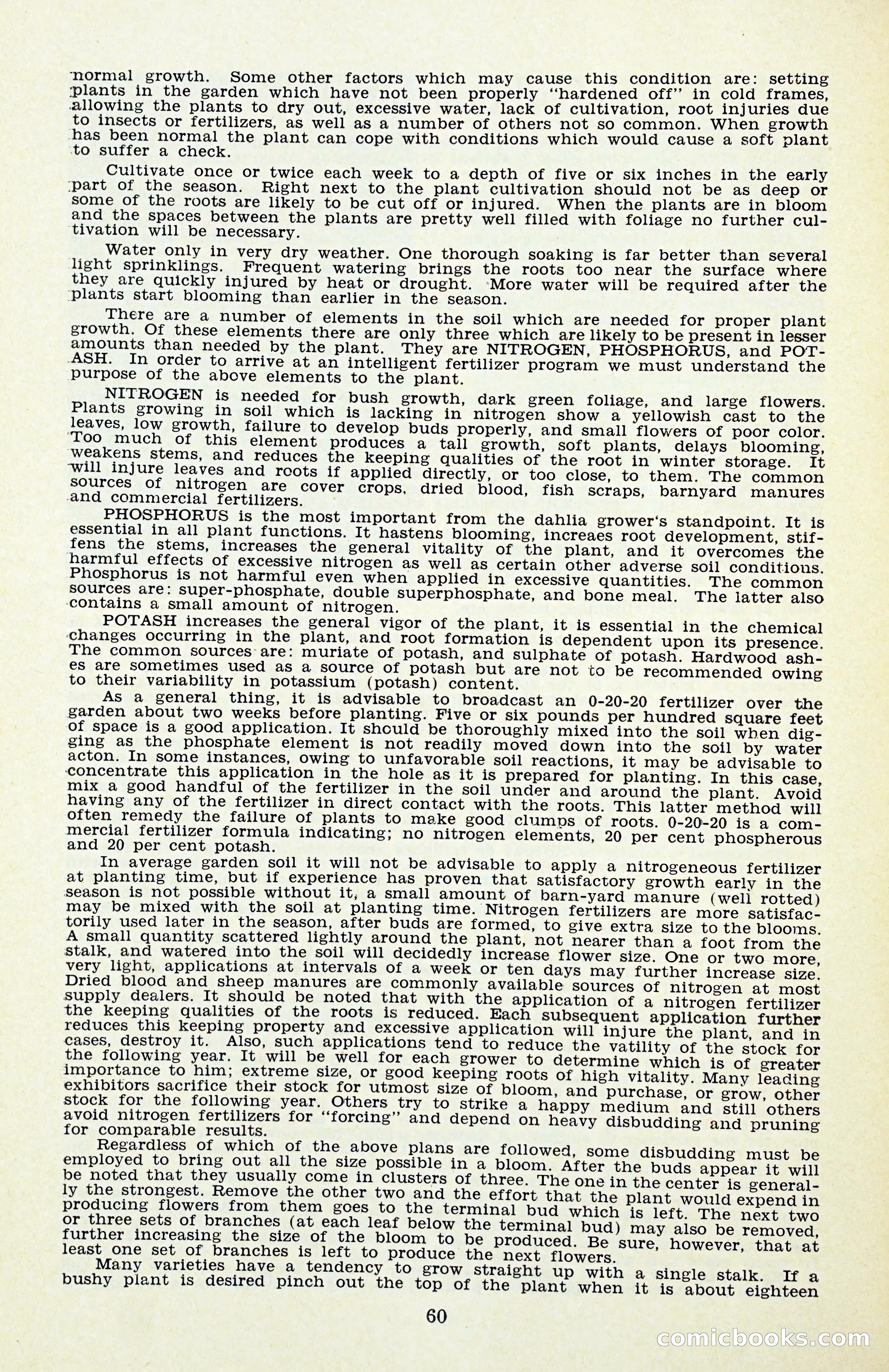 The Dahlia Blue Book for 1956 — page 63 of 69