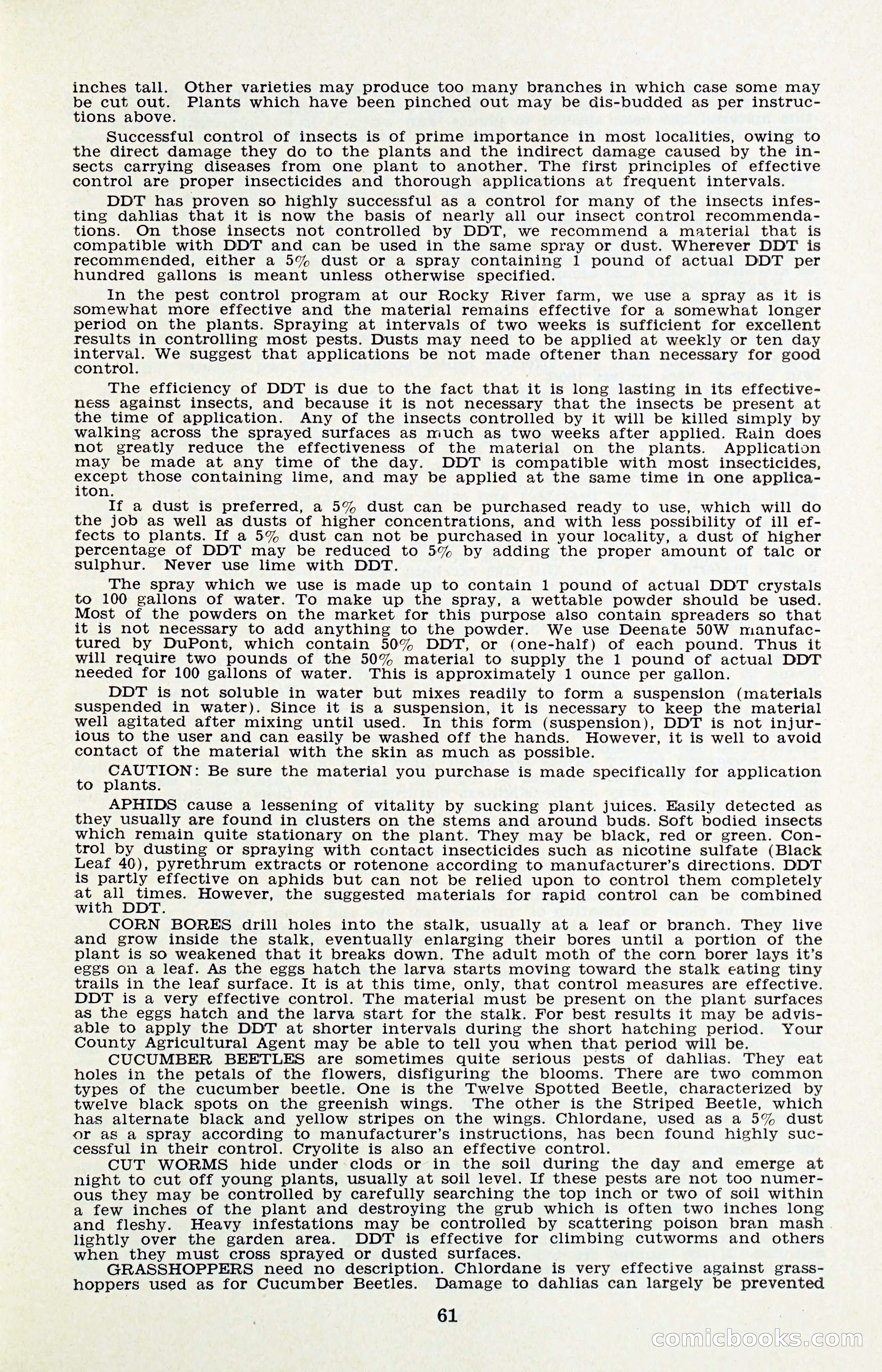 The Dahlia Blue Book for 1956 — page 64 of 69