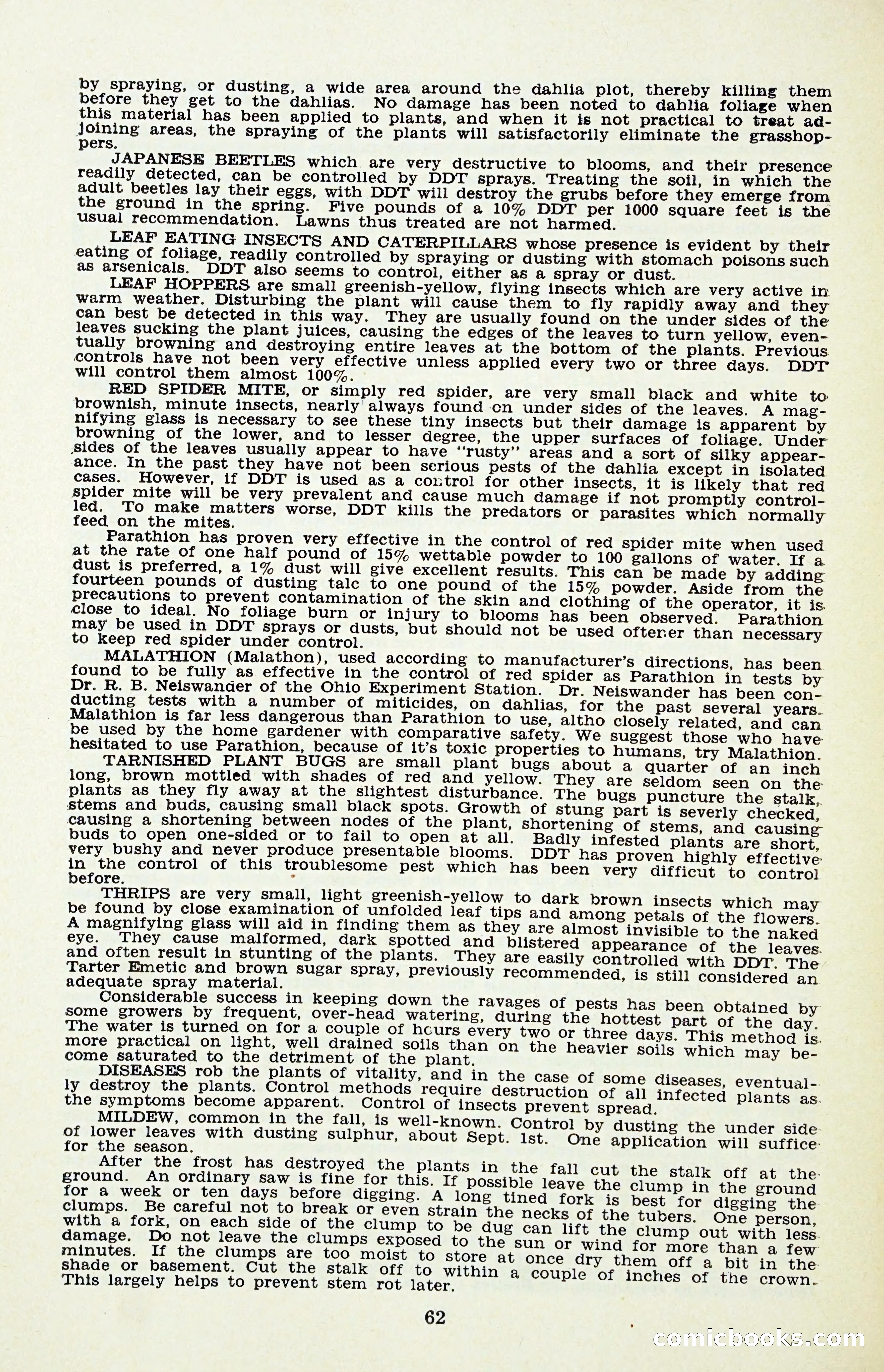 The Dahlia Blue Book for 1956 — page 65 of 69