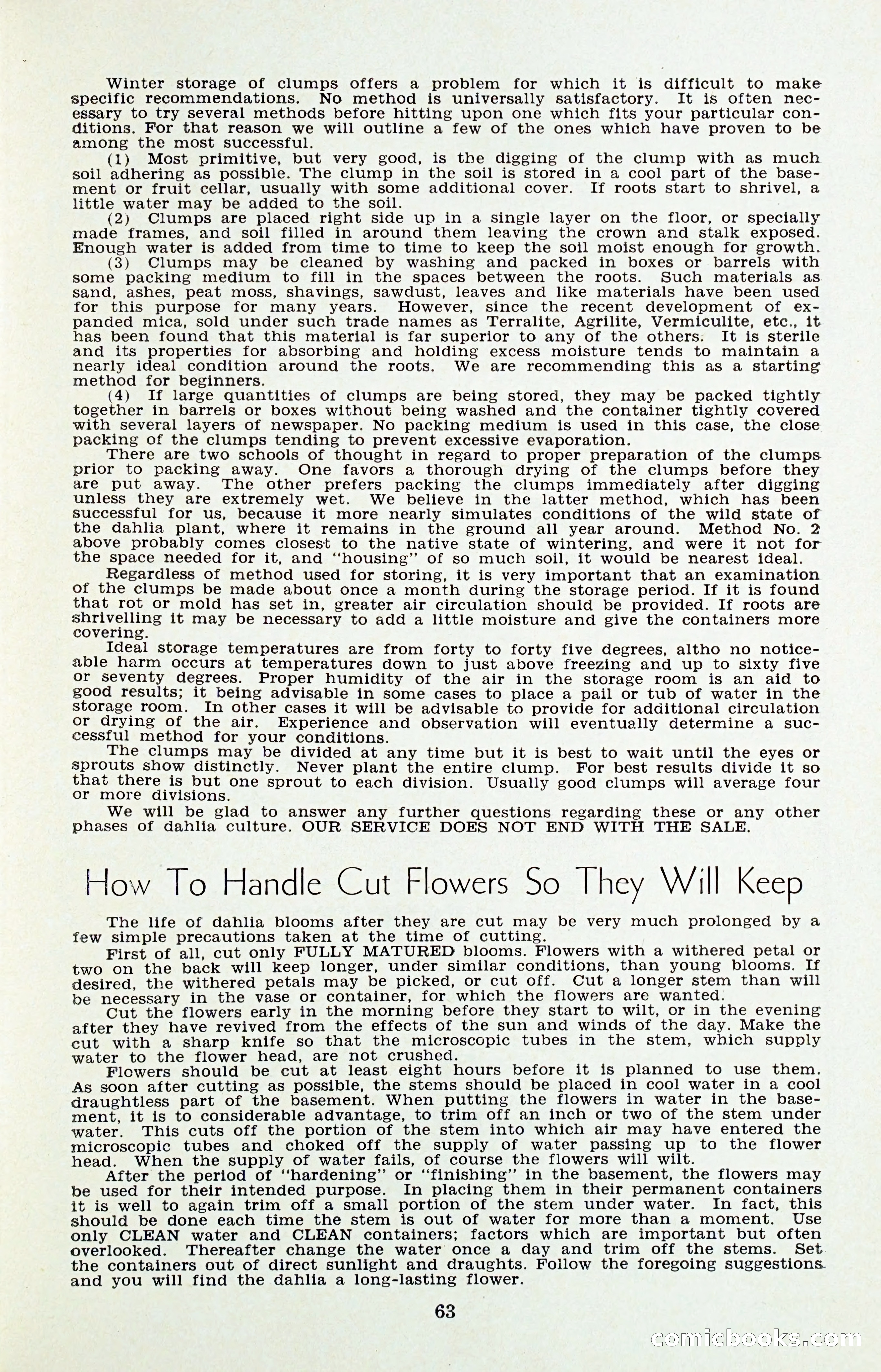 The Dahlia Blue Book for 1956 — page 66 of 69