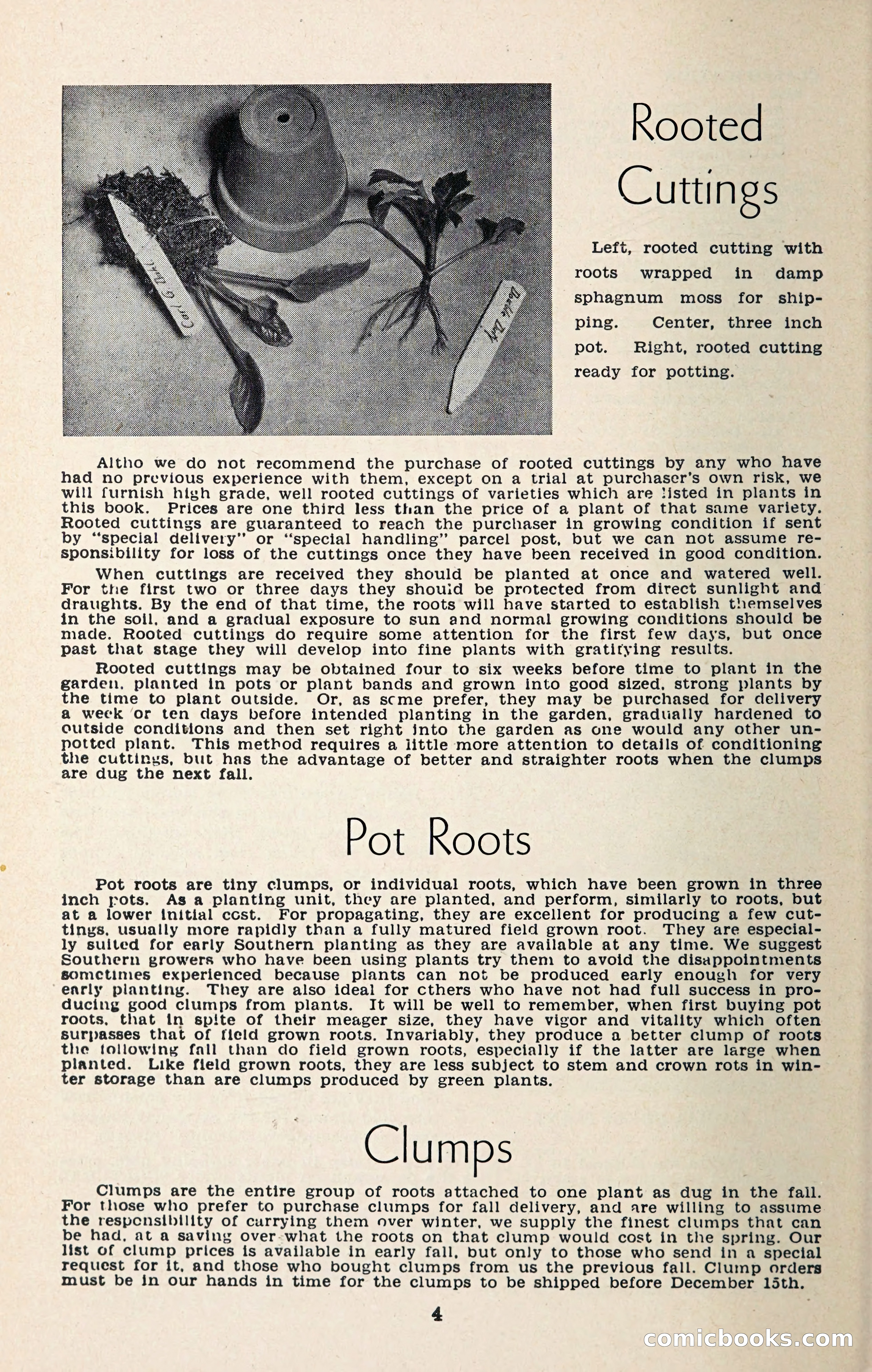 The Dahlia Blue Book for 1957 — page 7 of 69