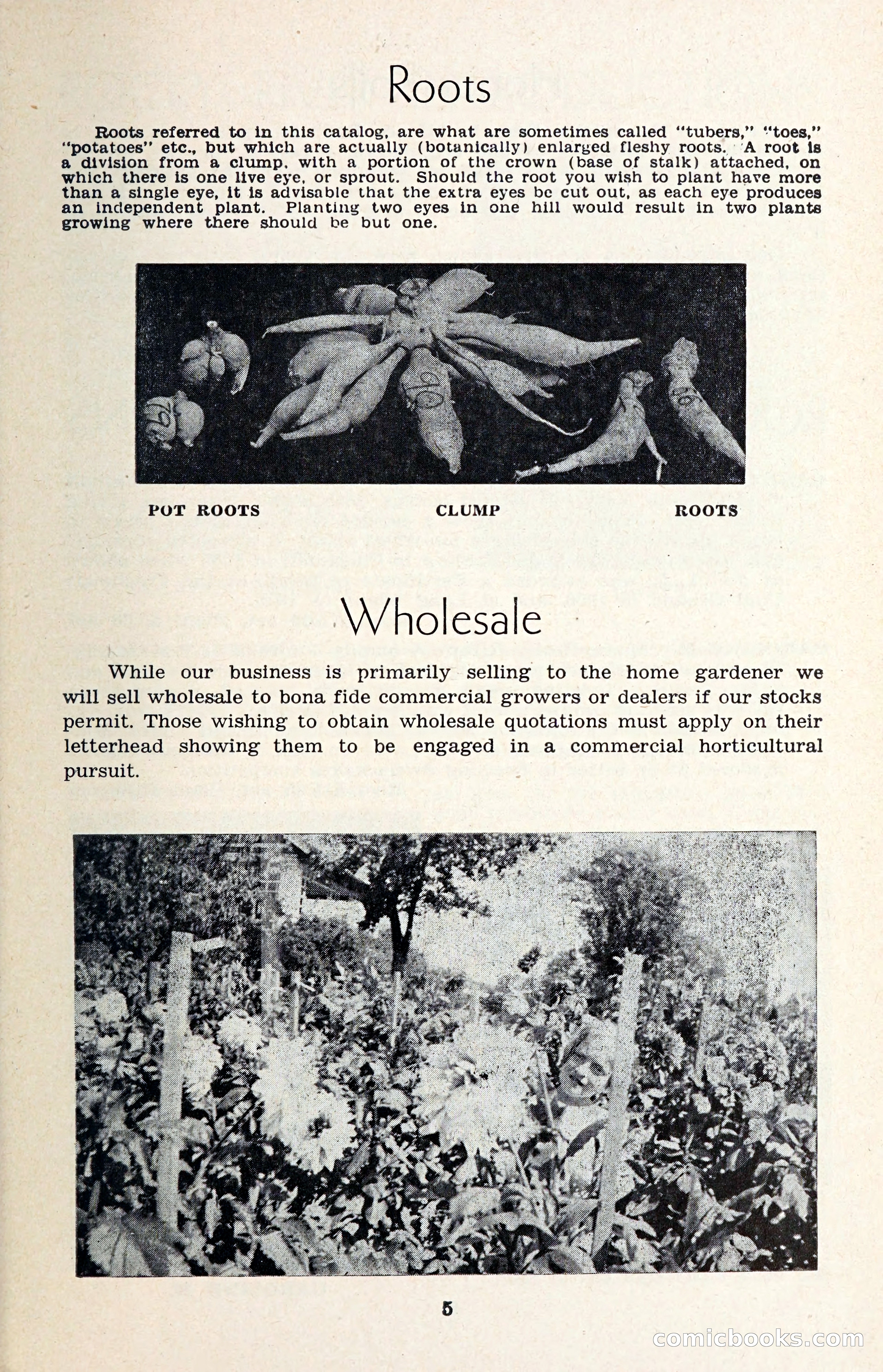 The Dahlia Blue Book for 1957 — page 8 of 69