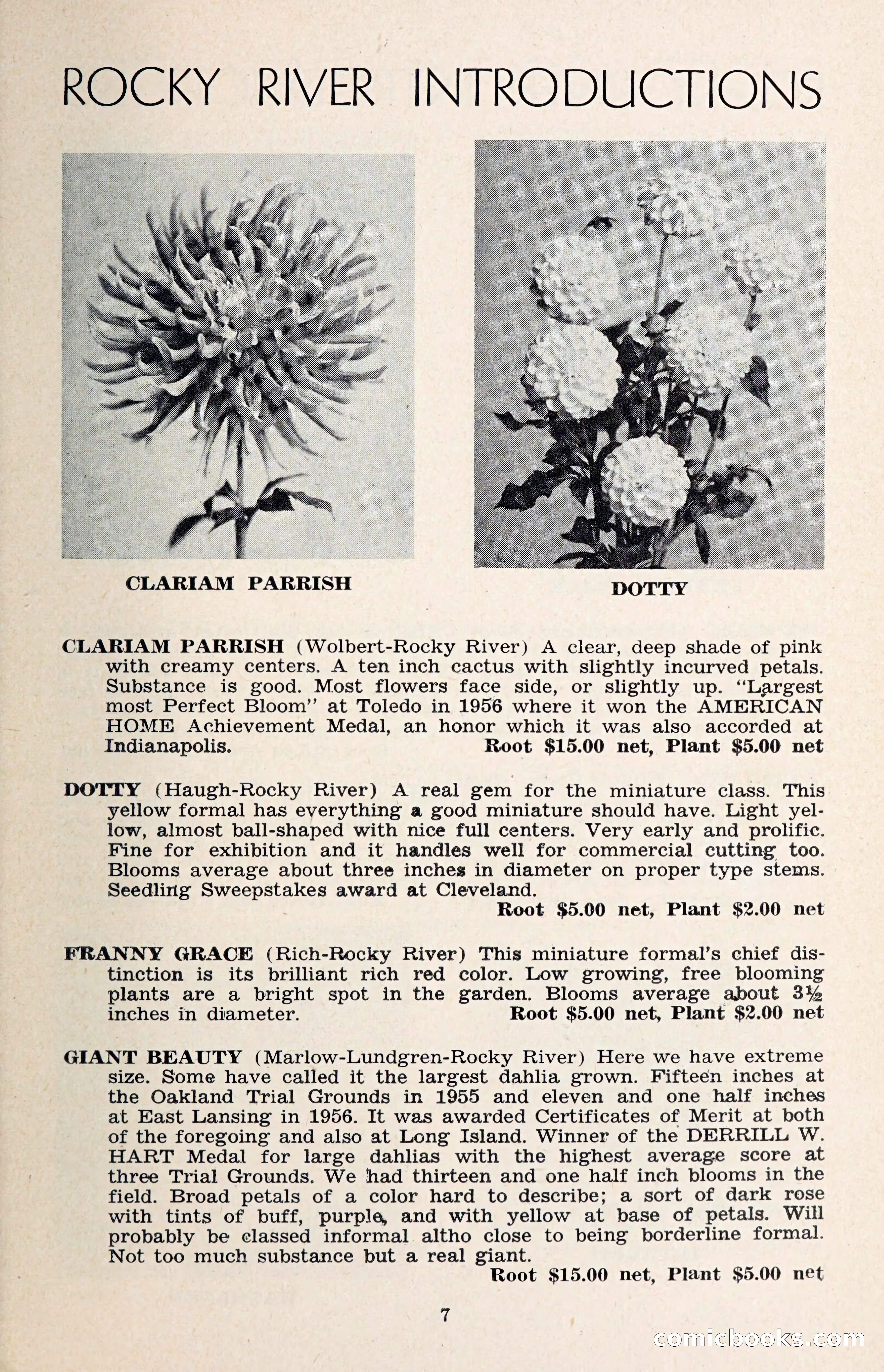 The Dahlia Blue Book for 1957 — page 10 of 69