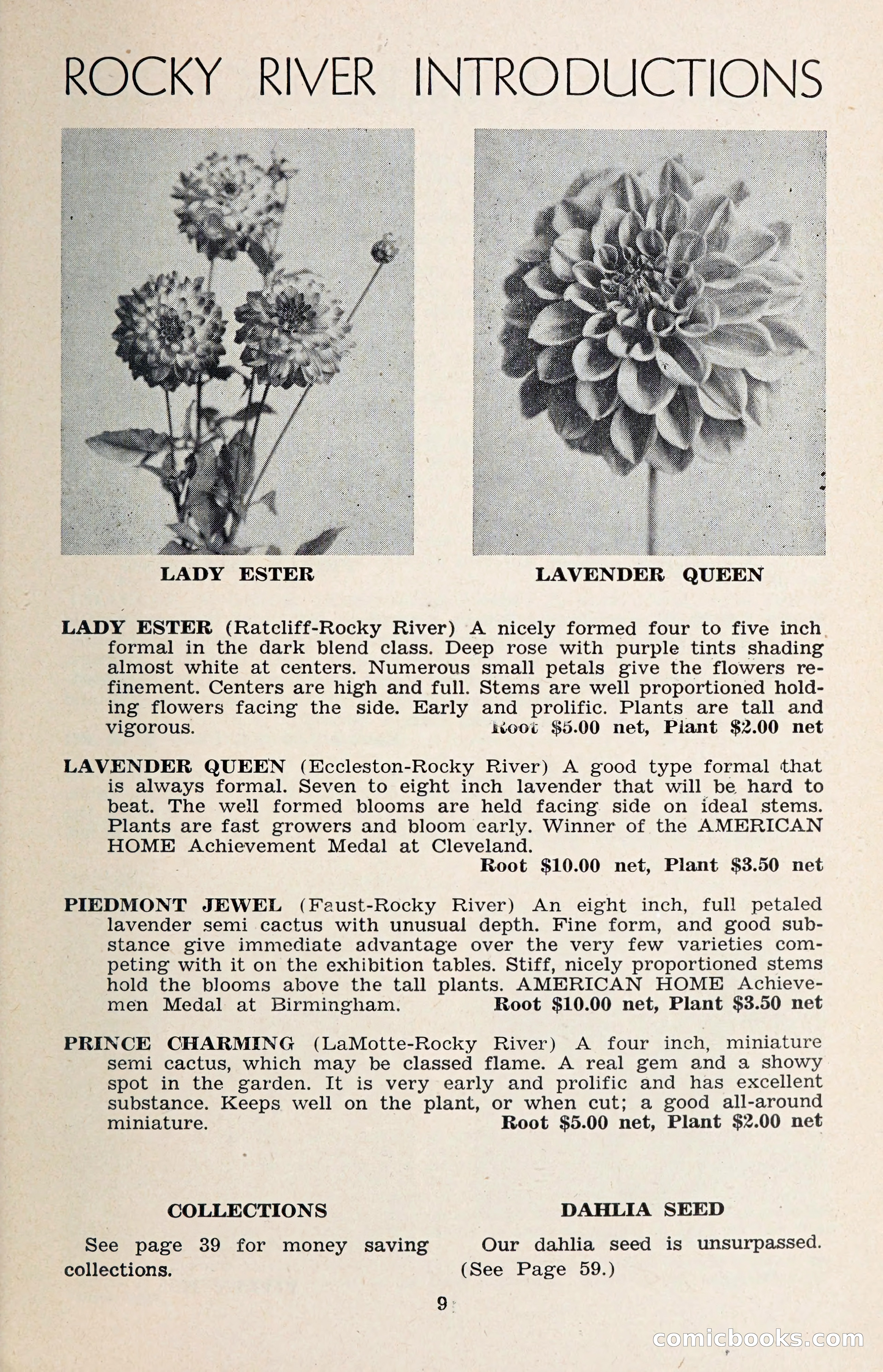 The Dahlia Blue Book for 1957 — page 12 of 69