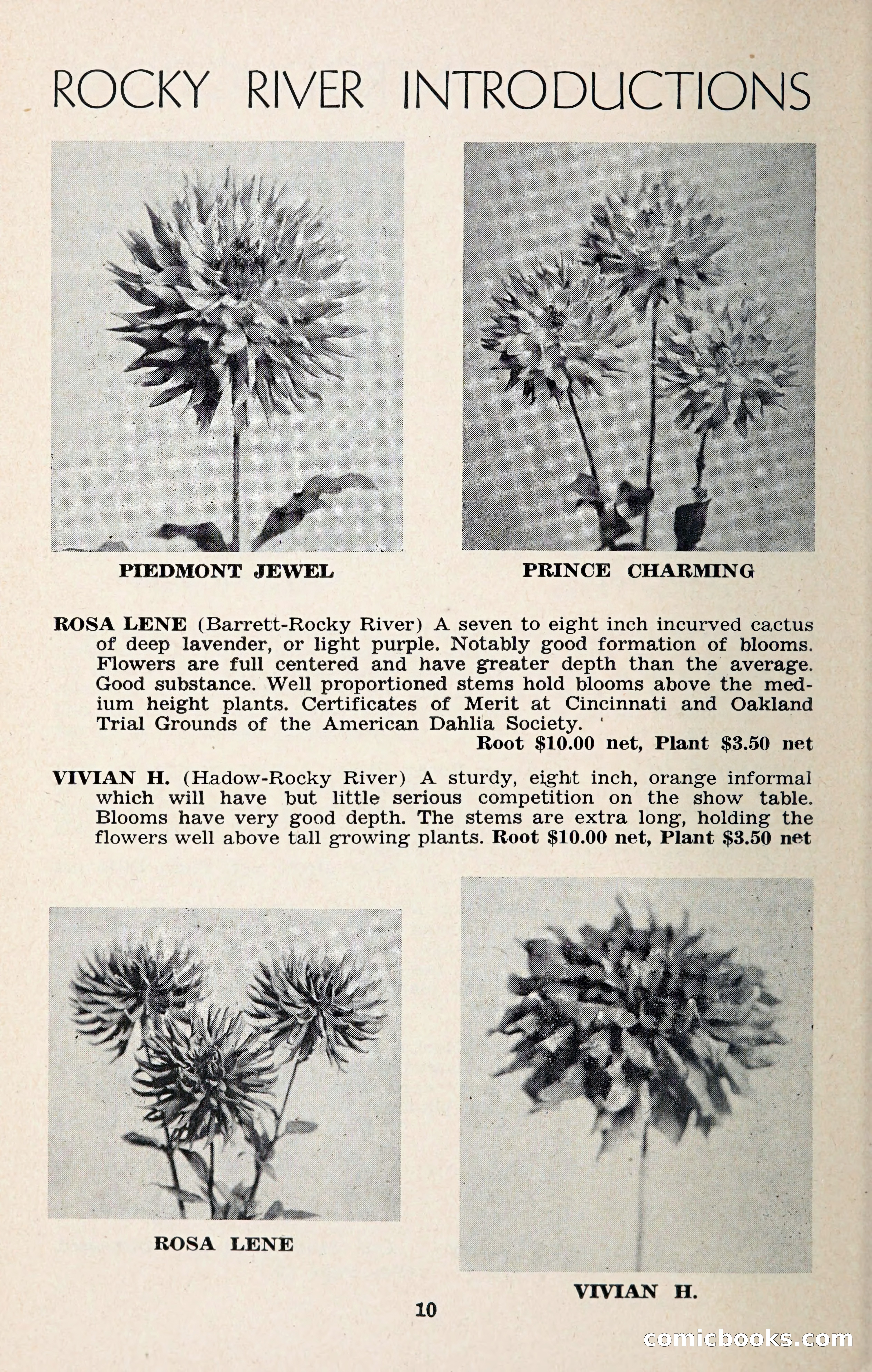 The Dahlia Blue Book for 1957 — page 13 of 69