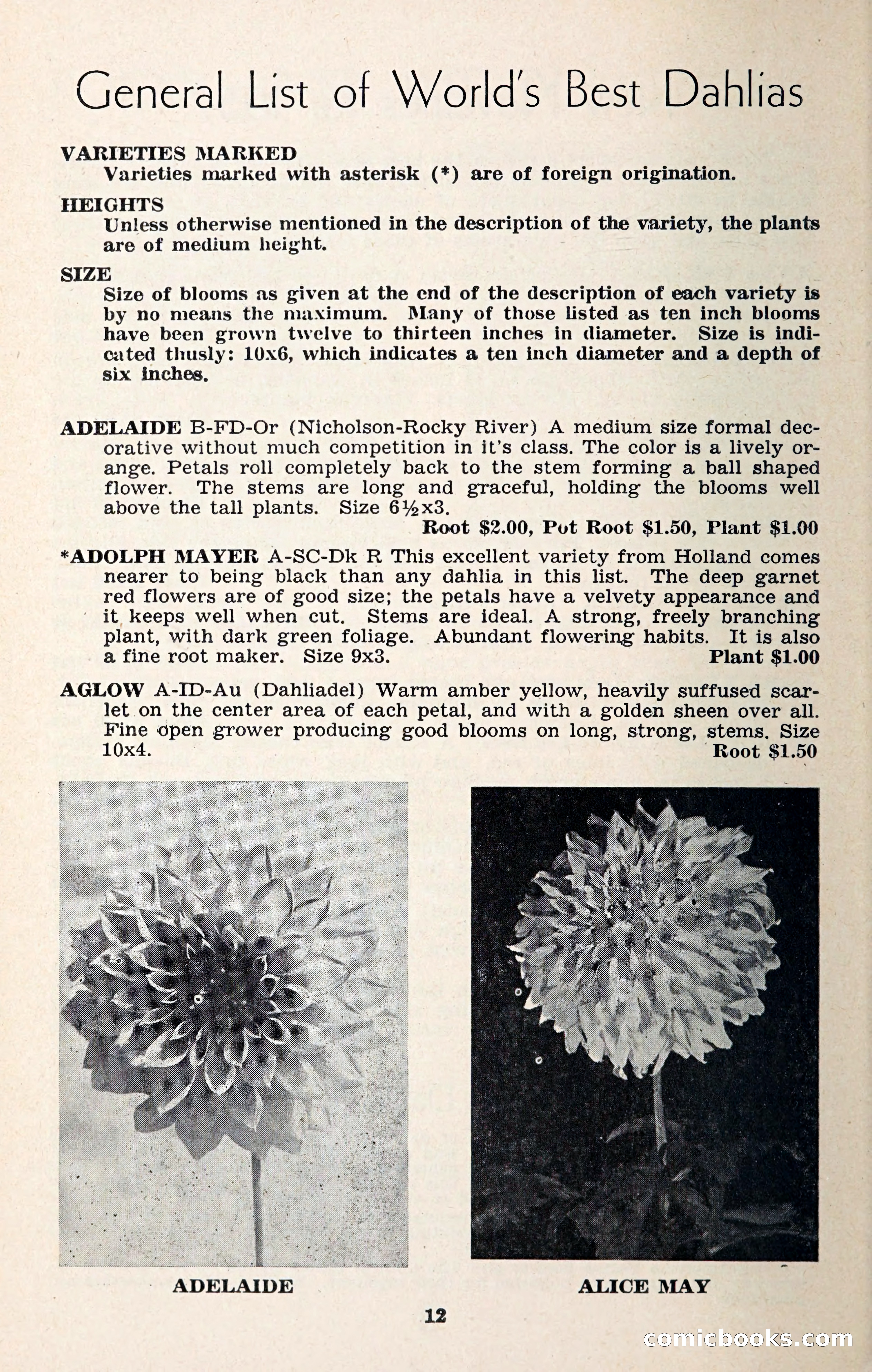 The Dahlia Blue Book for 1957 — page 15 of 69