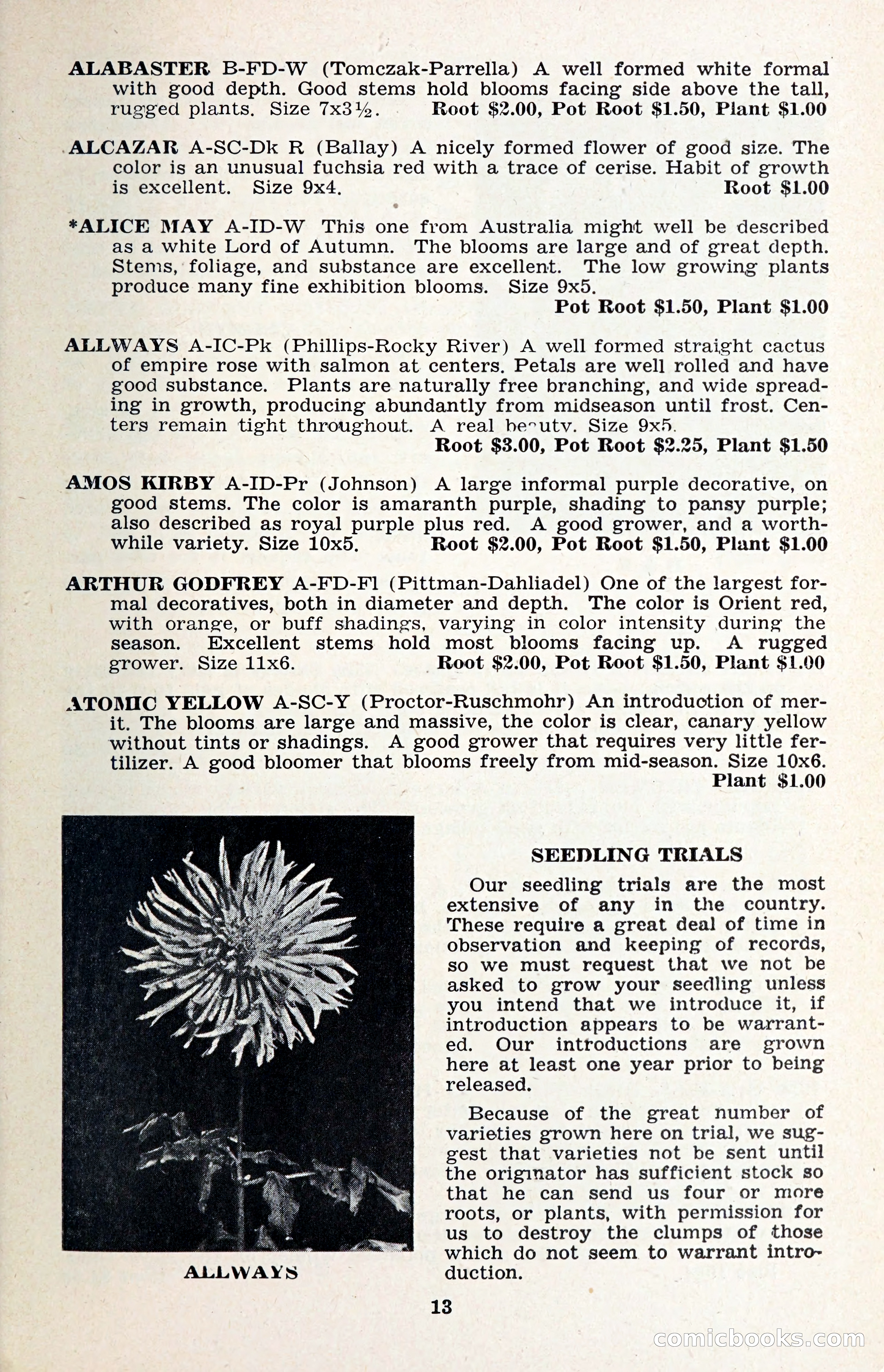 The Dahlia Blue Book for 1957 — page 16 of 69