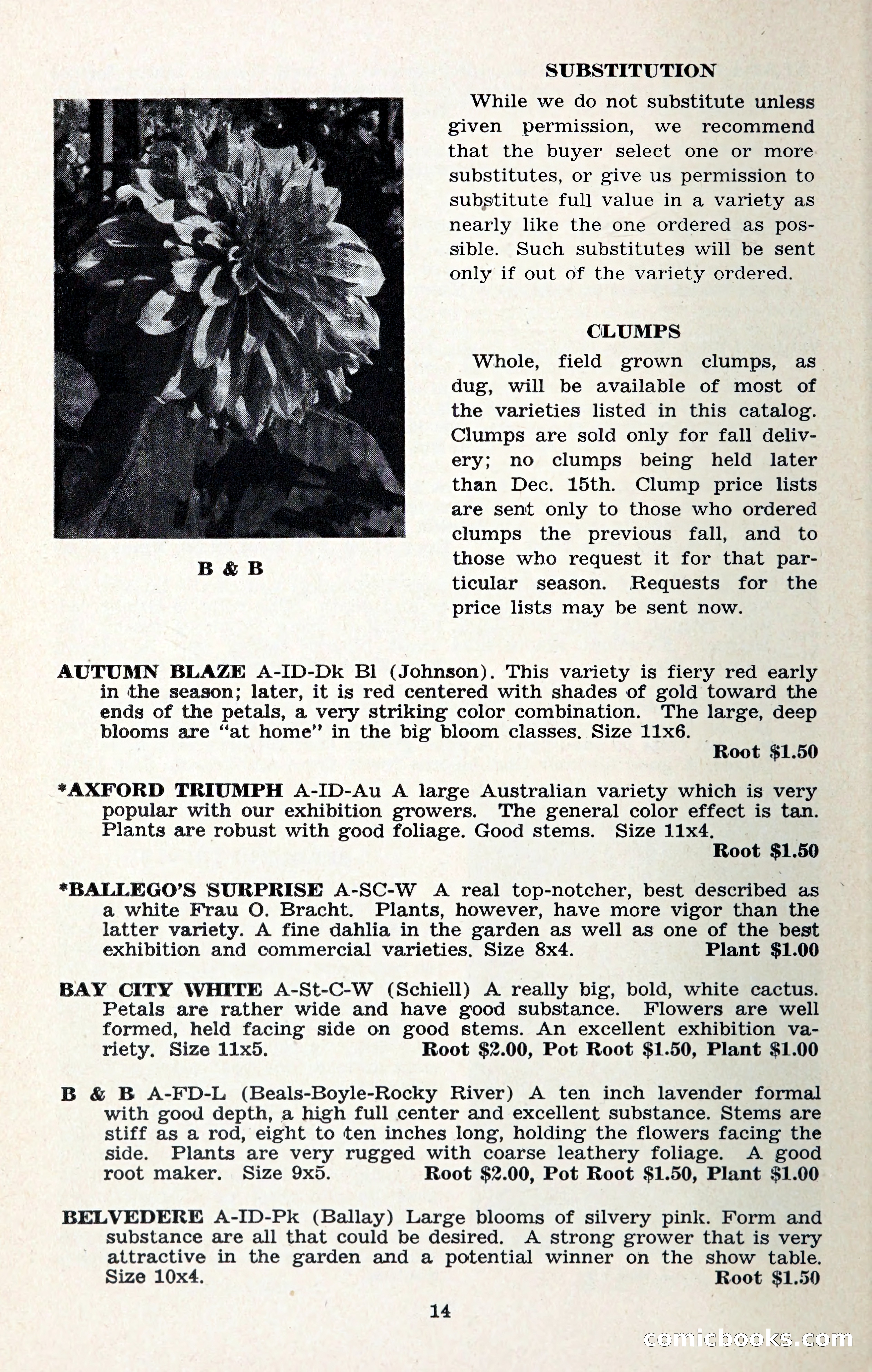 The Dahlia Blue Book for 1957 — page 17 of 69