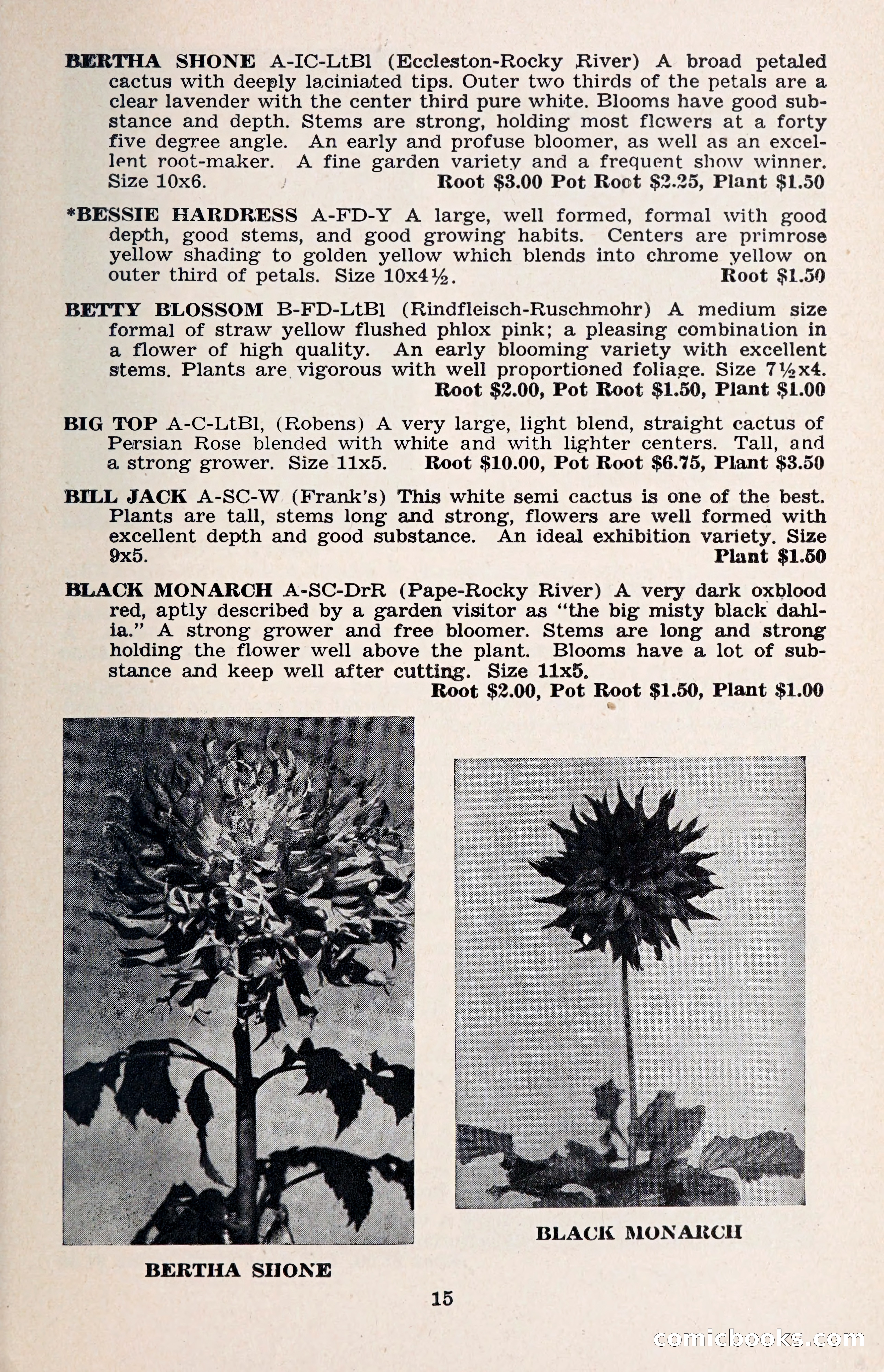 The Dahlia Blue Book for 1957 — page 18 of 69