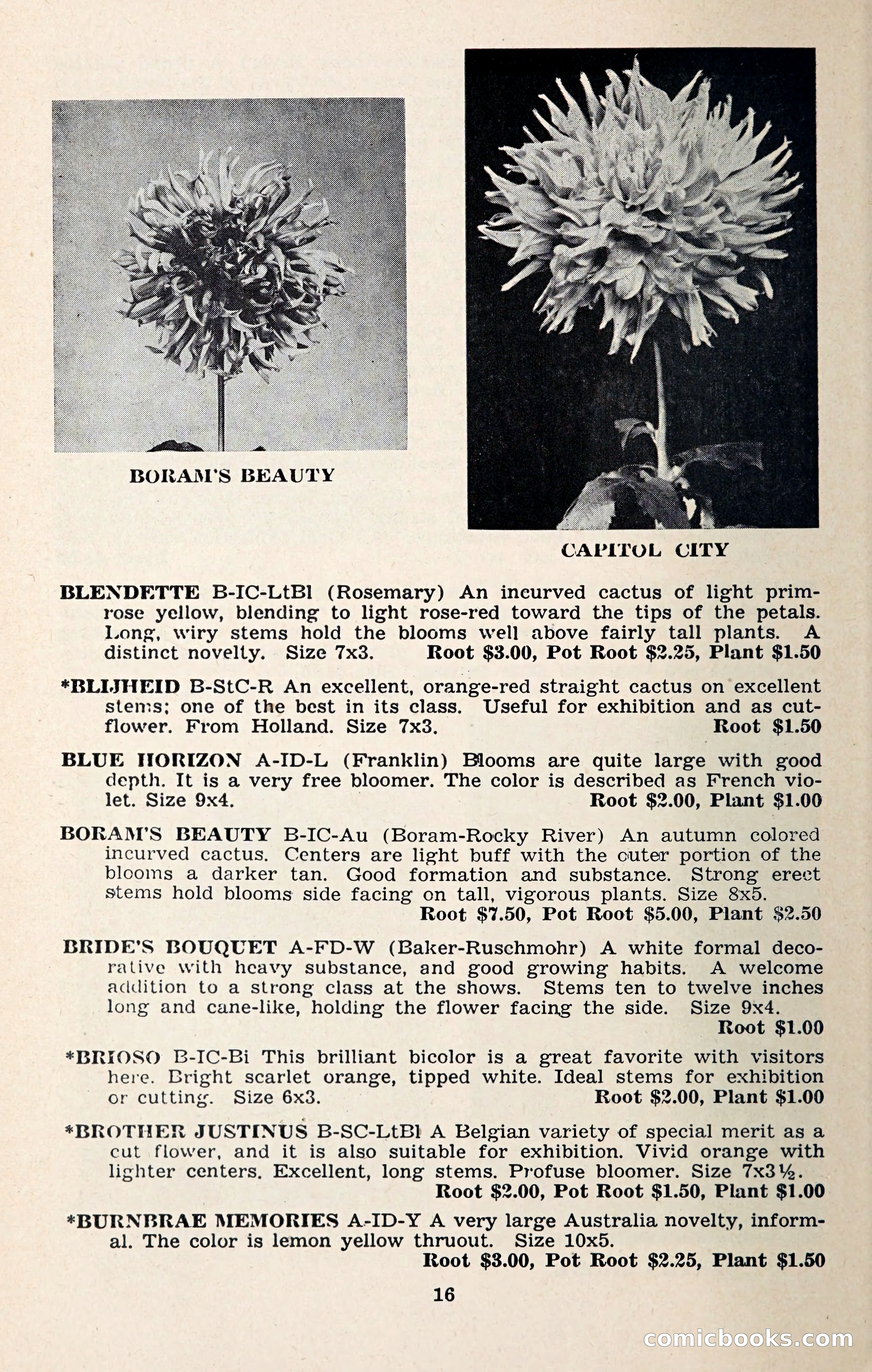 The Dahlia Blue Book for 1957 — page 19 of 69