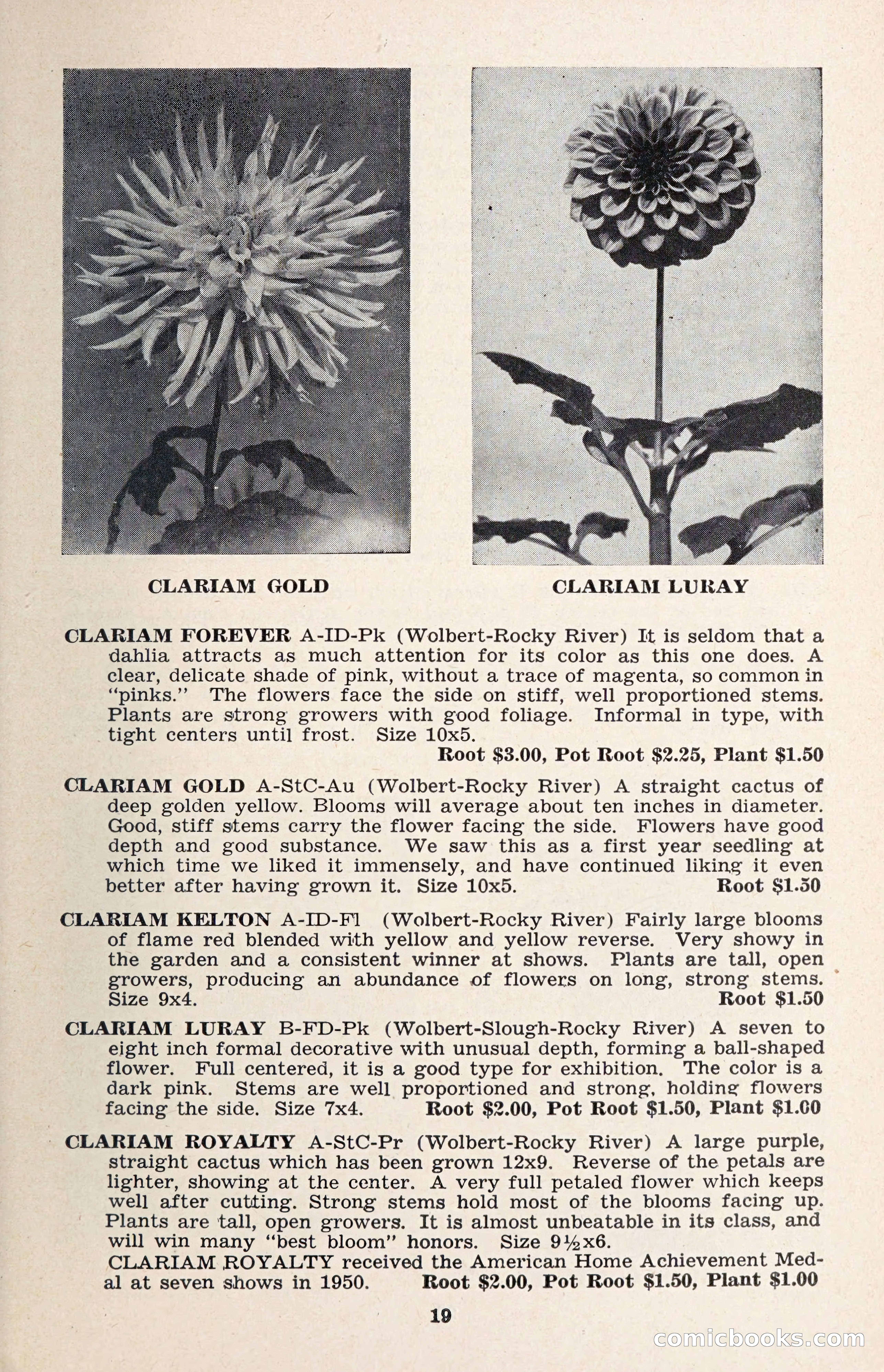 The Dahlia Blue Book for 1957 — page 22 of 69