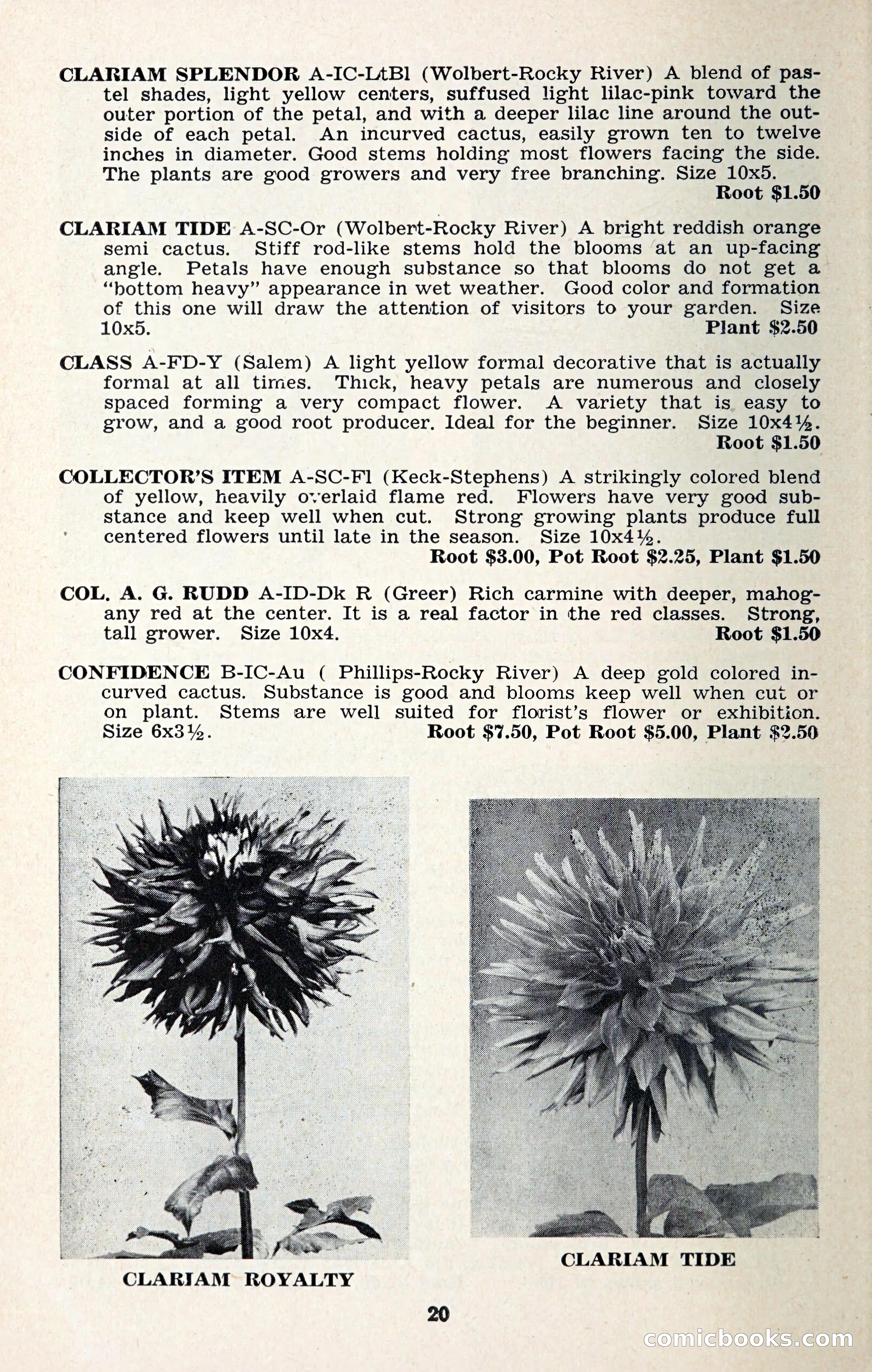 The Dahlia Blue Book for 1957 — page 23 of 69