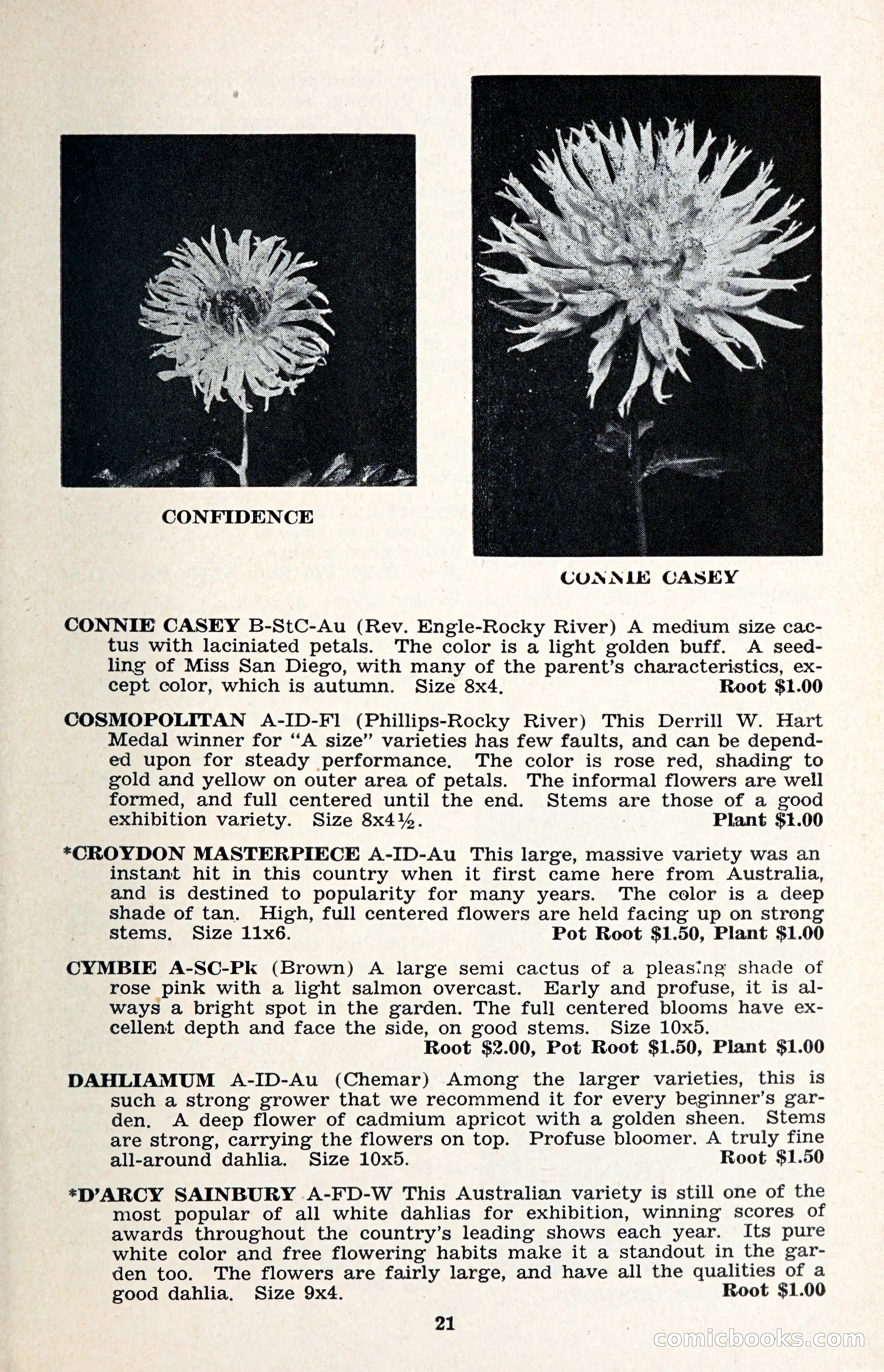 The Dahlia Blue Book for 1957 — page 24 of 69