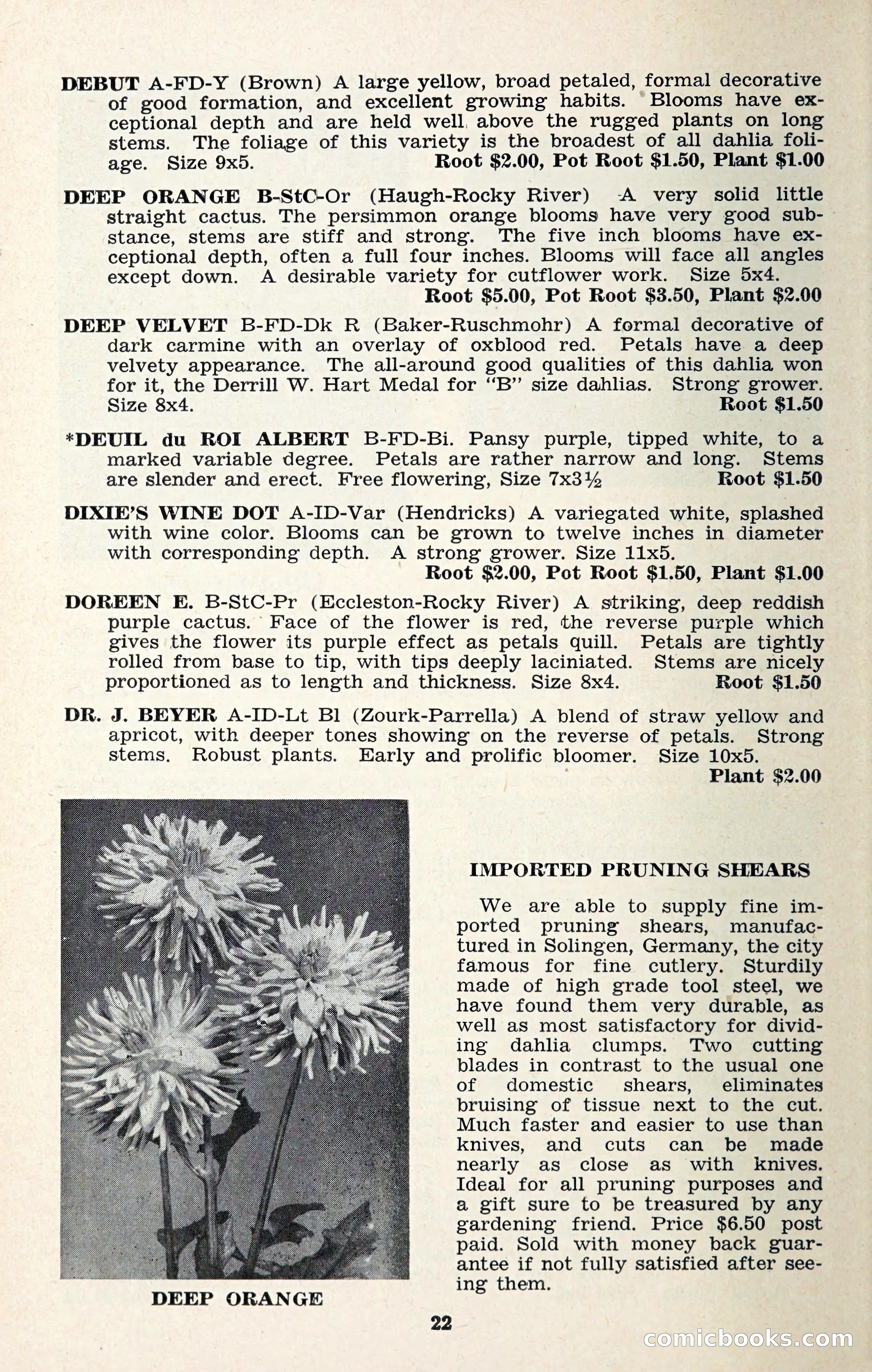 The Dahlia Blue Book for 1957 — page 25 of 69