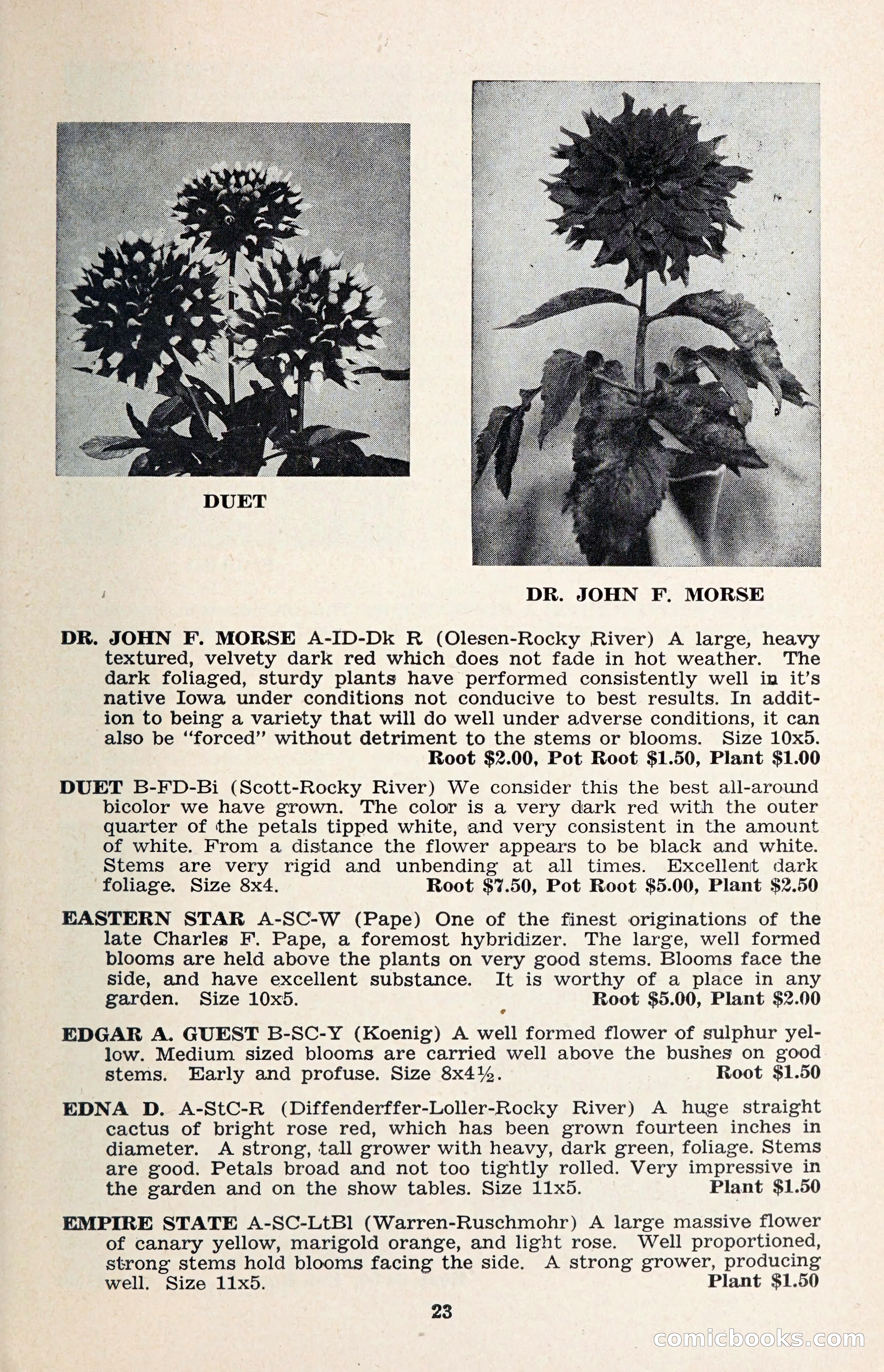 The Dahlia Blue Book for 1957 — page 26 of 69
