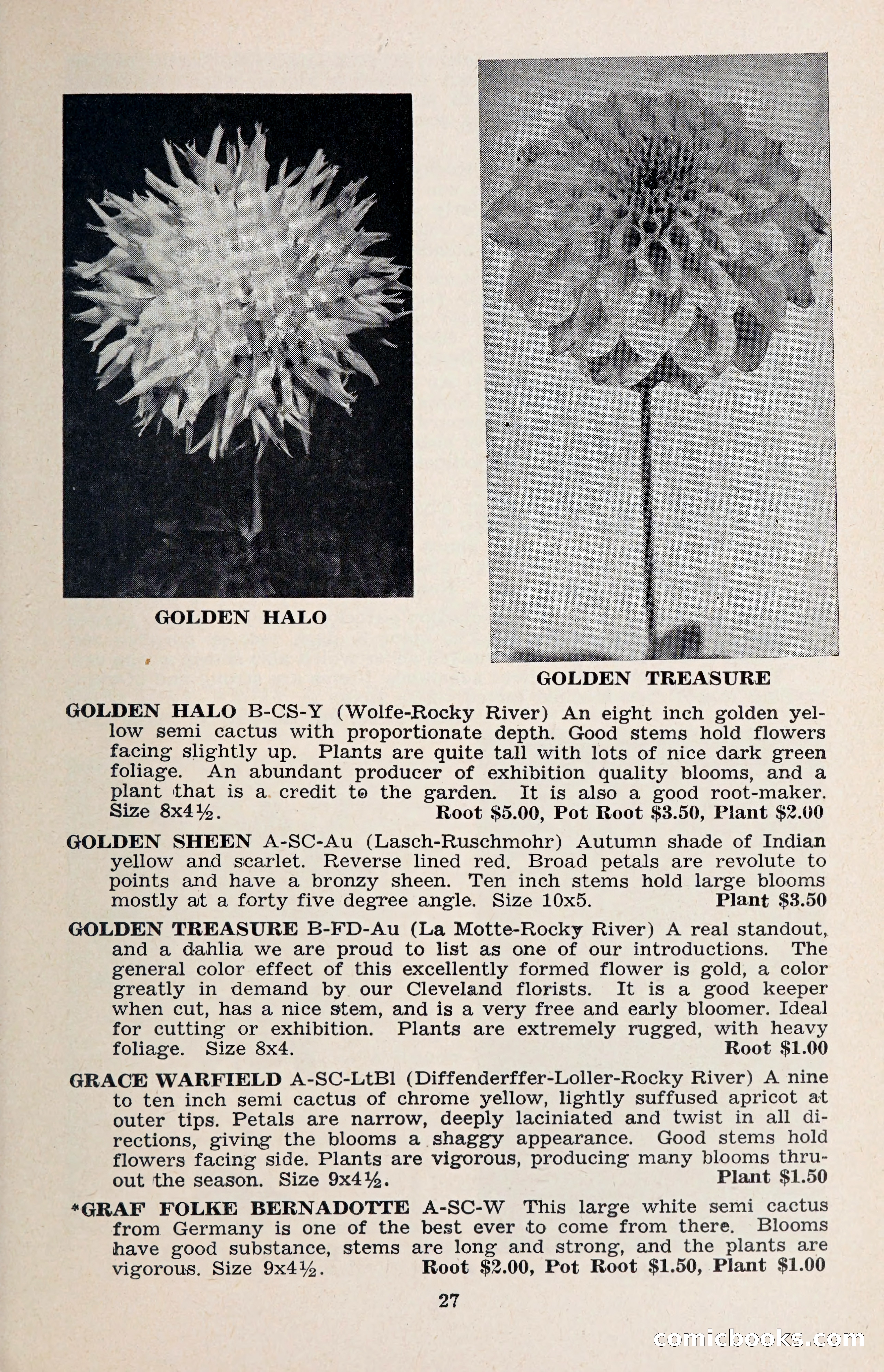 The Dahlia Blue Book for 1957 — page 30 of 69