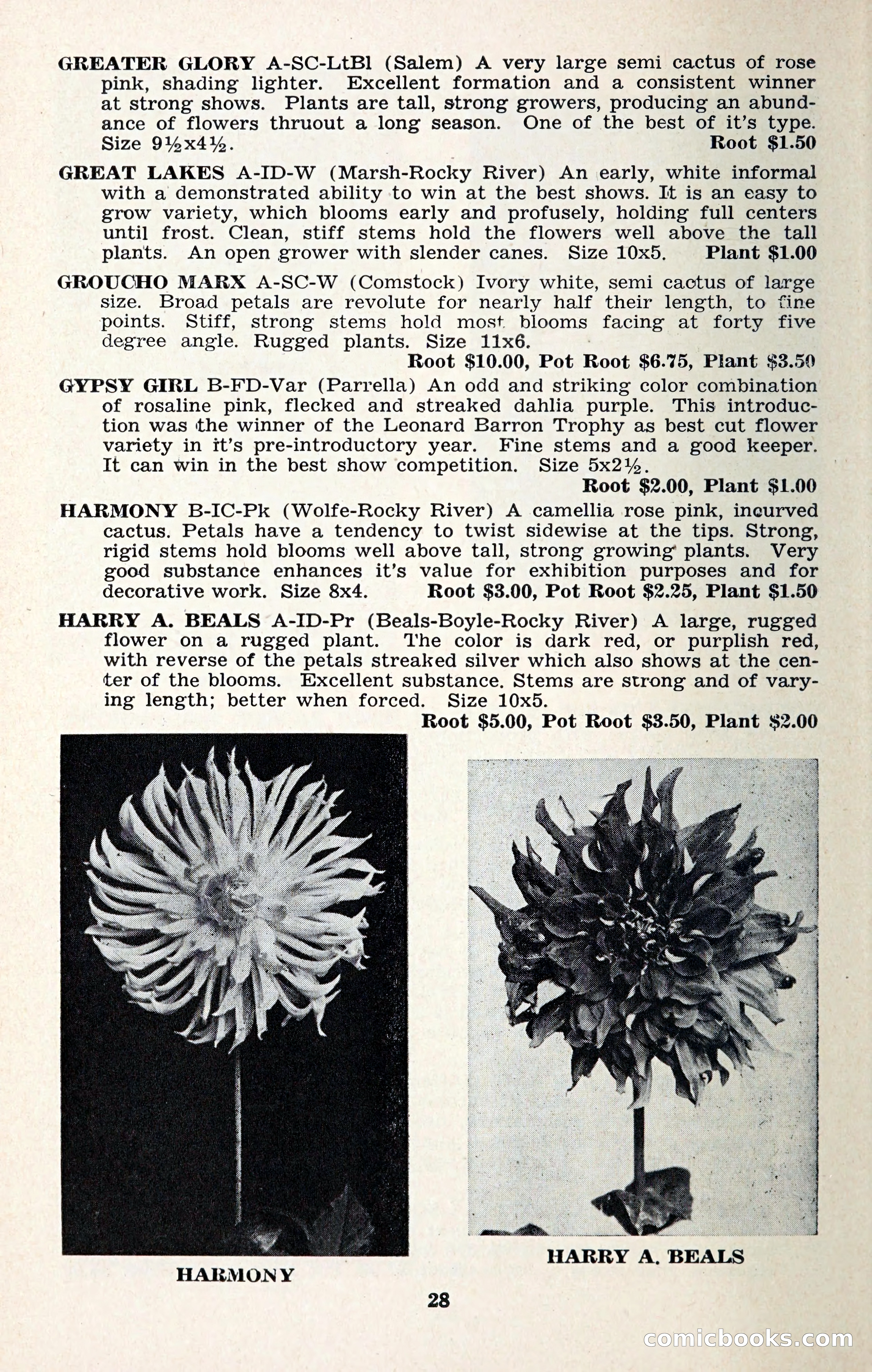 The Dahlia Blue Book for 1957 — page 31 of 69