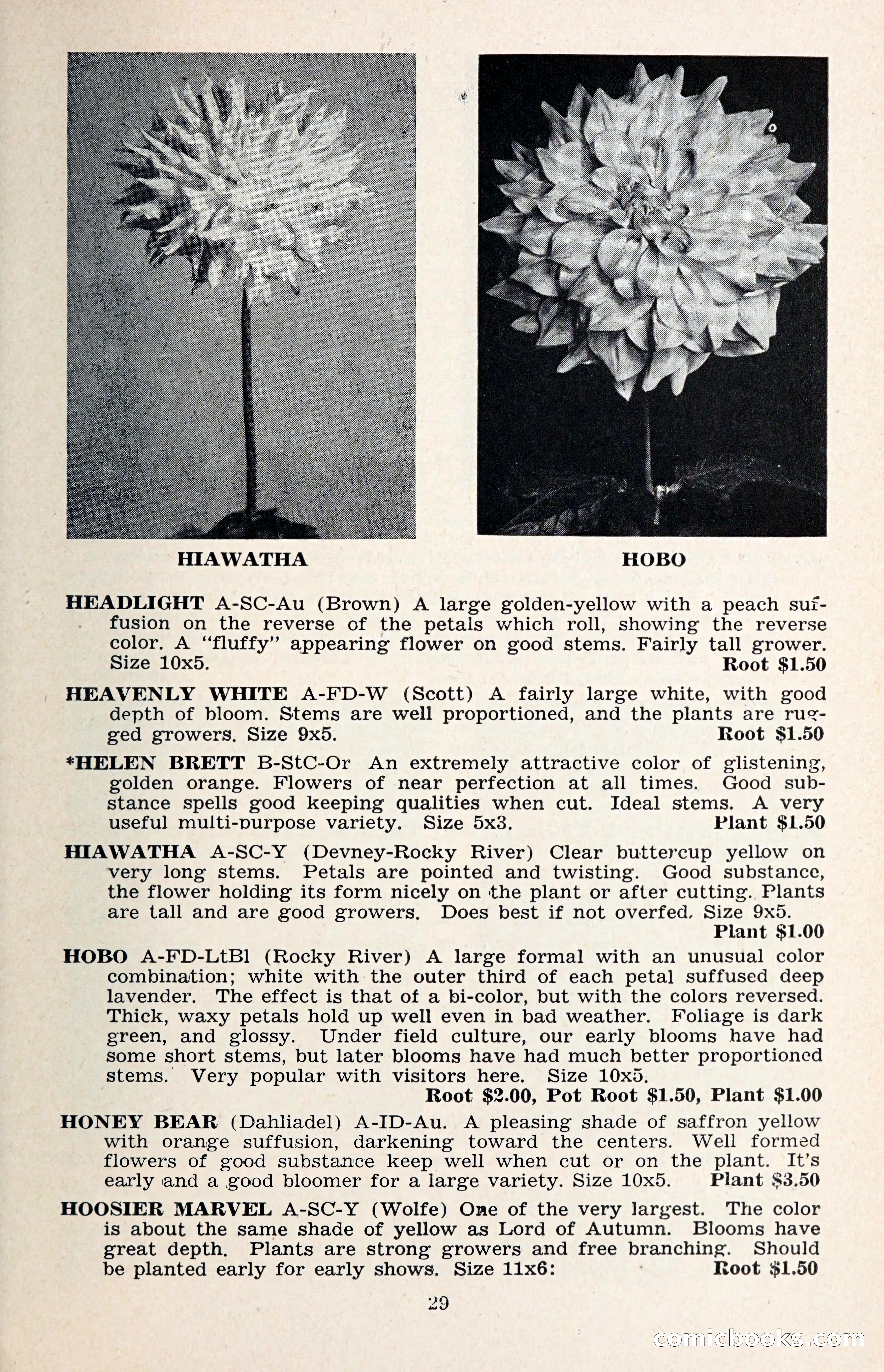 The Dahlia Blue Book for 1957 — page 32 of 69