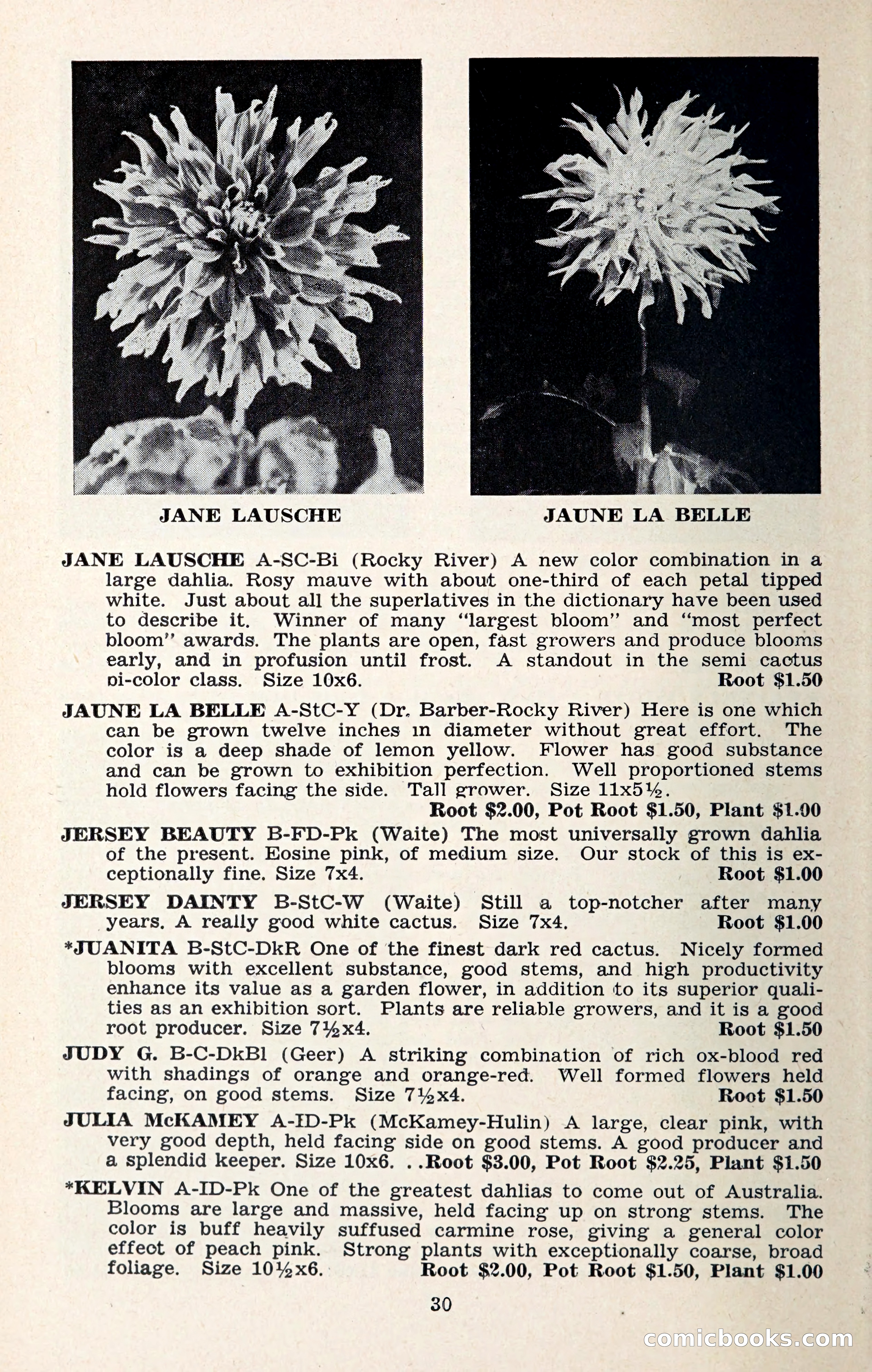 The Dahlia Blue Book for 1957 — page 33 of 69