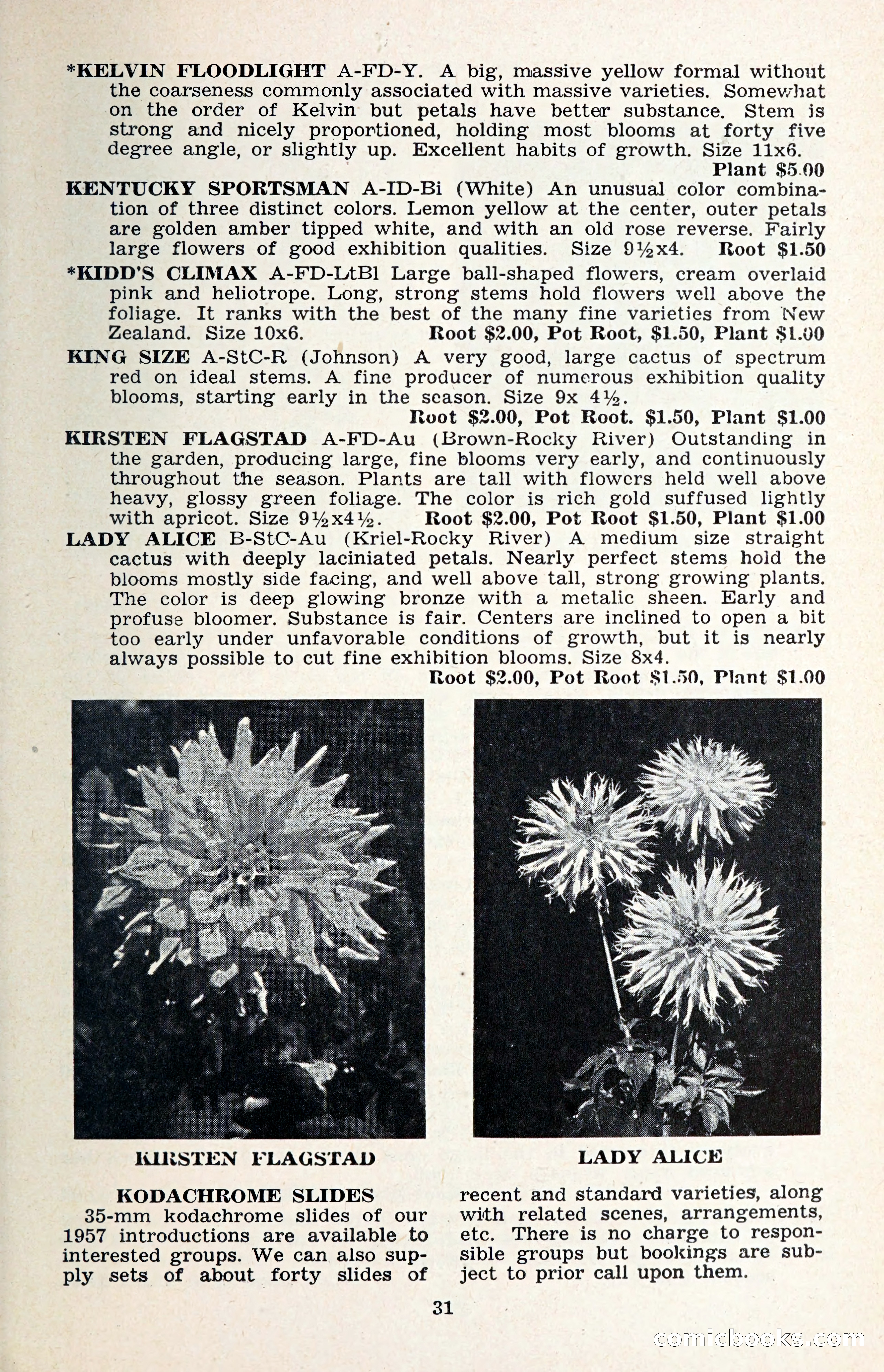 The Dahlia Blue Book for 1957 — page 34 of 69