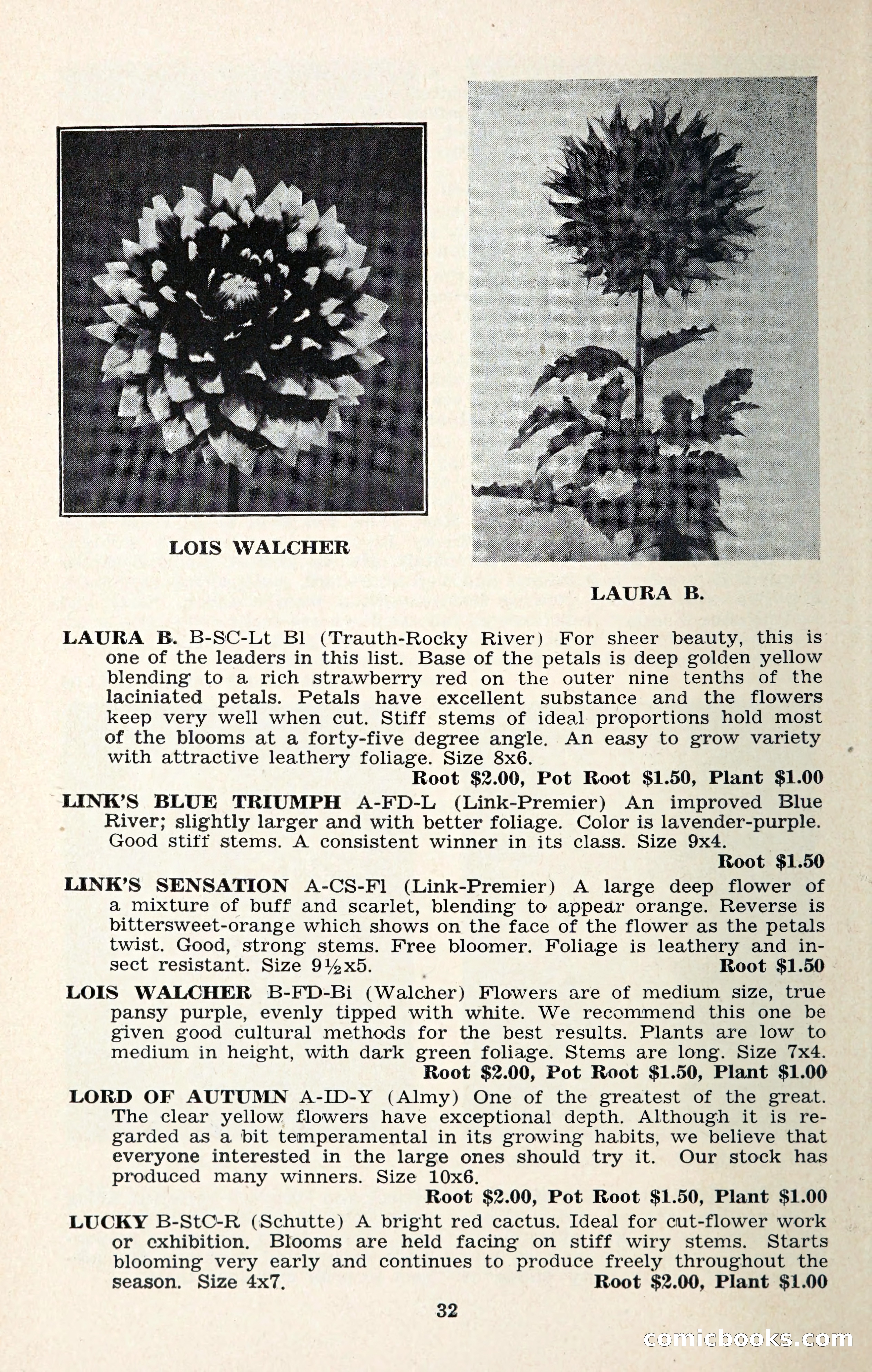 The Dahlia Blue Book for 1957 — page 35 of 69