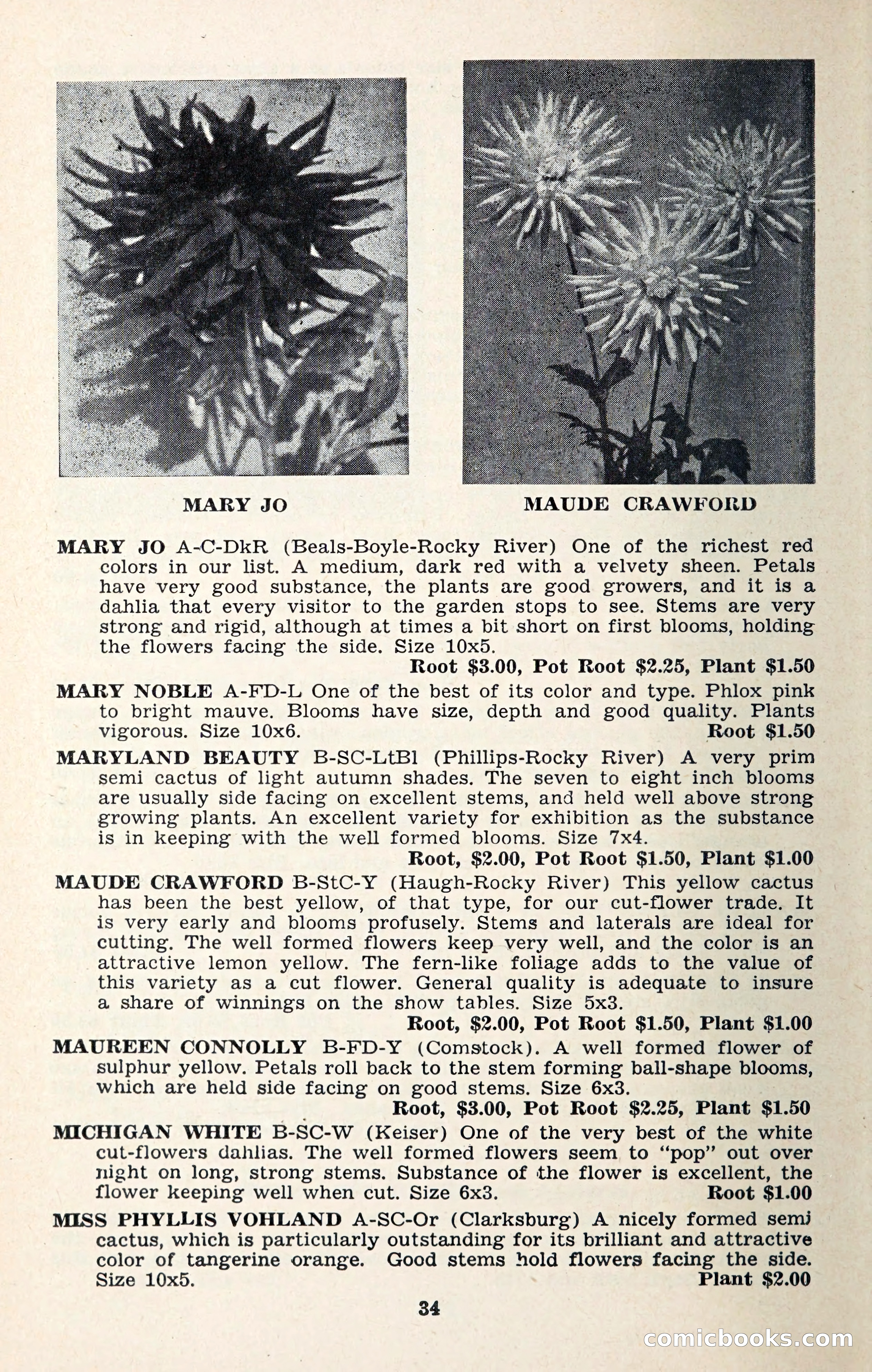The Dahlia Blue Book for 1957 — page 37 of 69