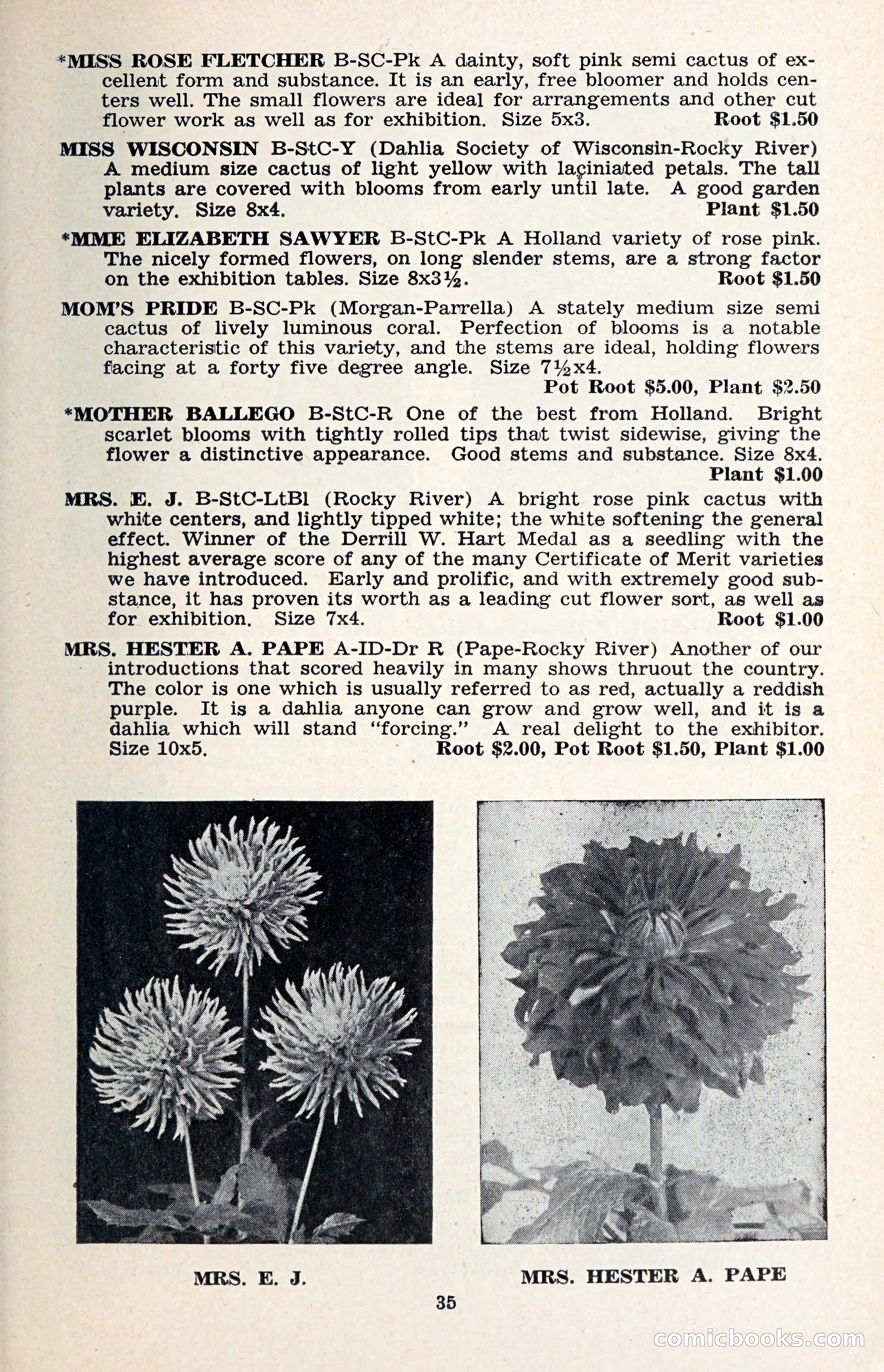 The Dahlia Blue Book for 1957 — page 38 of 69