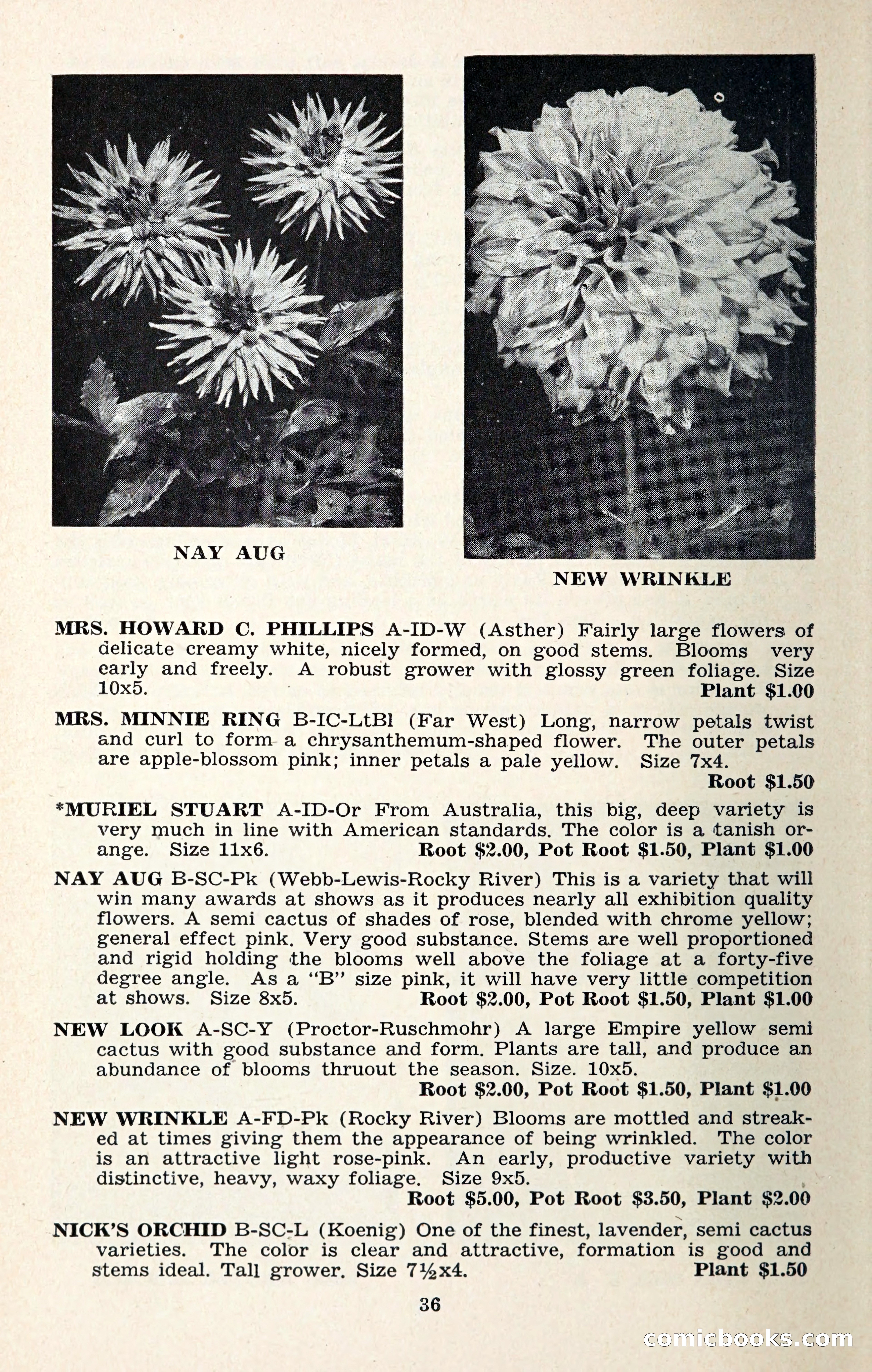 The Dahlia Blue Book for 1957 — page 39 of 69