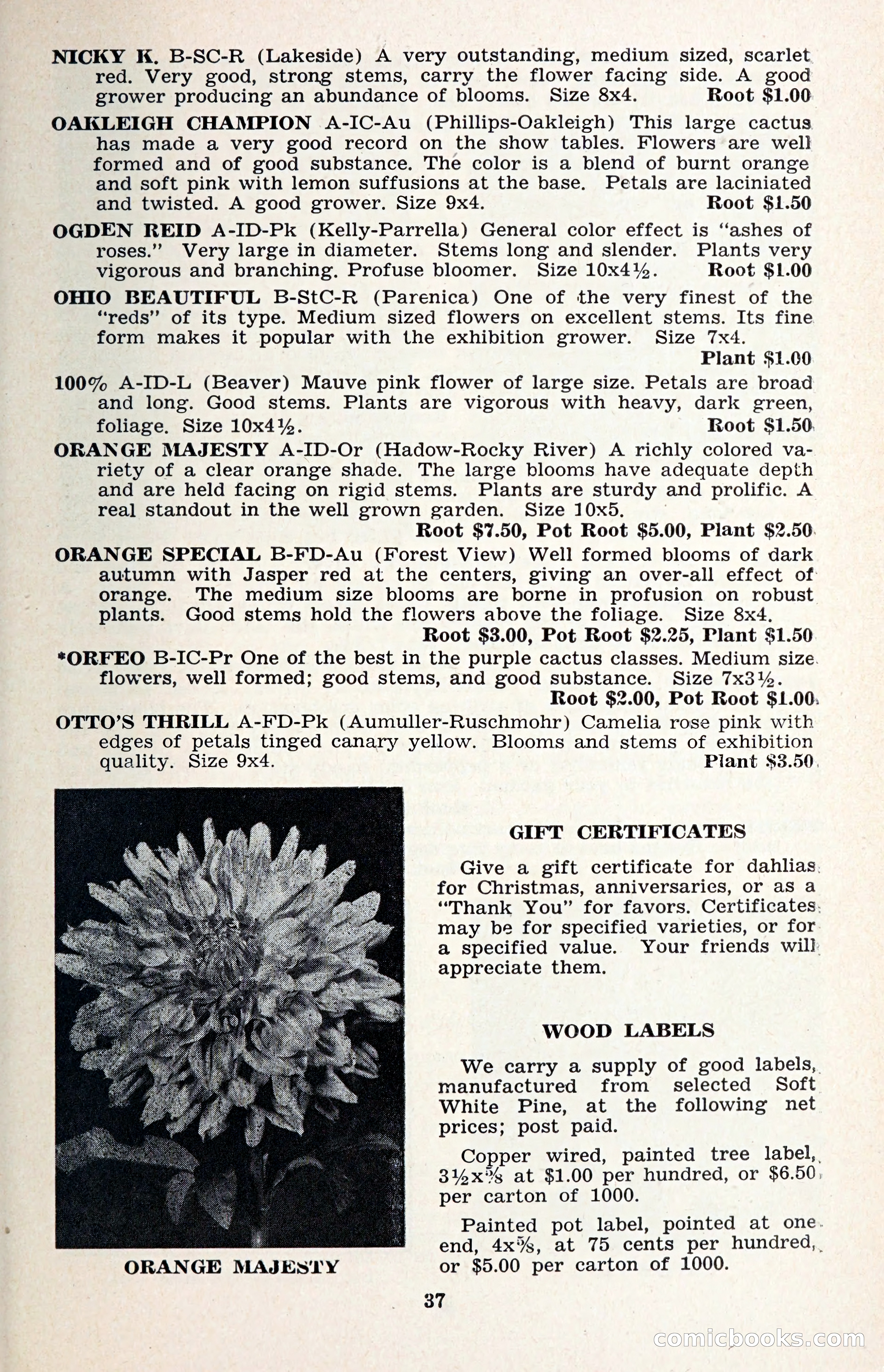 The Dahlia Blue Book for 1957 — page 40 of 69