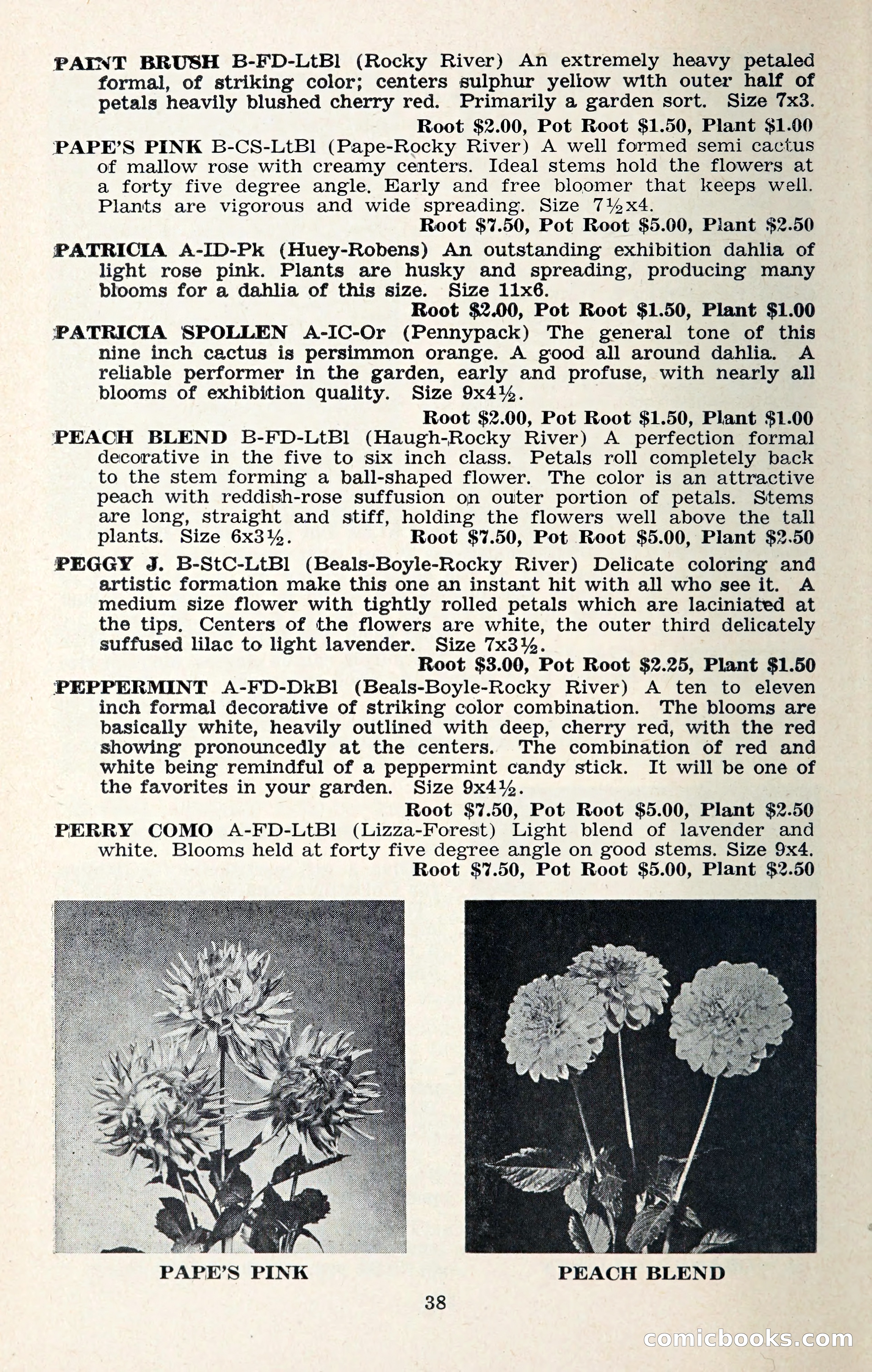 The Dahlia Blue Book for 1957 — page 41 of 69