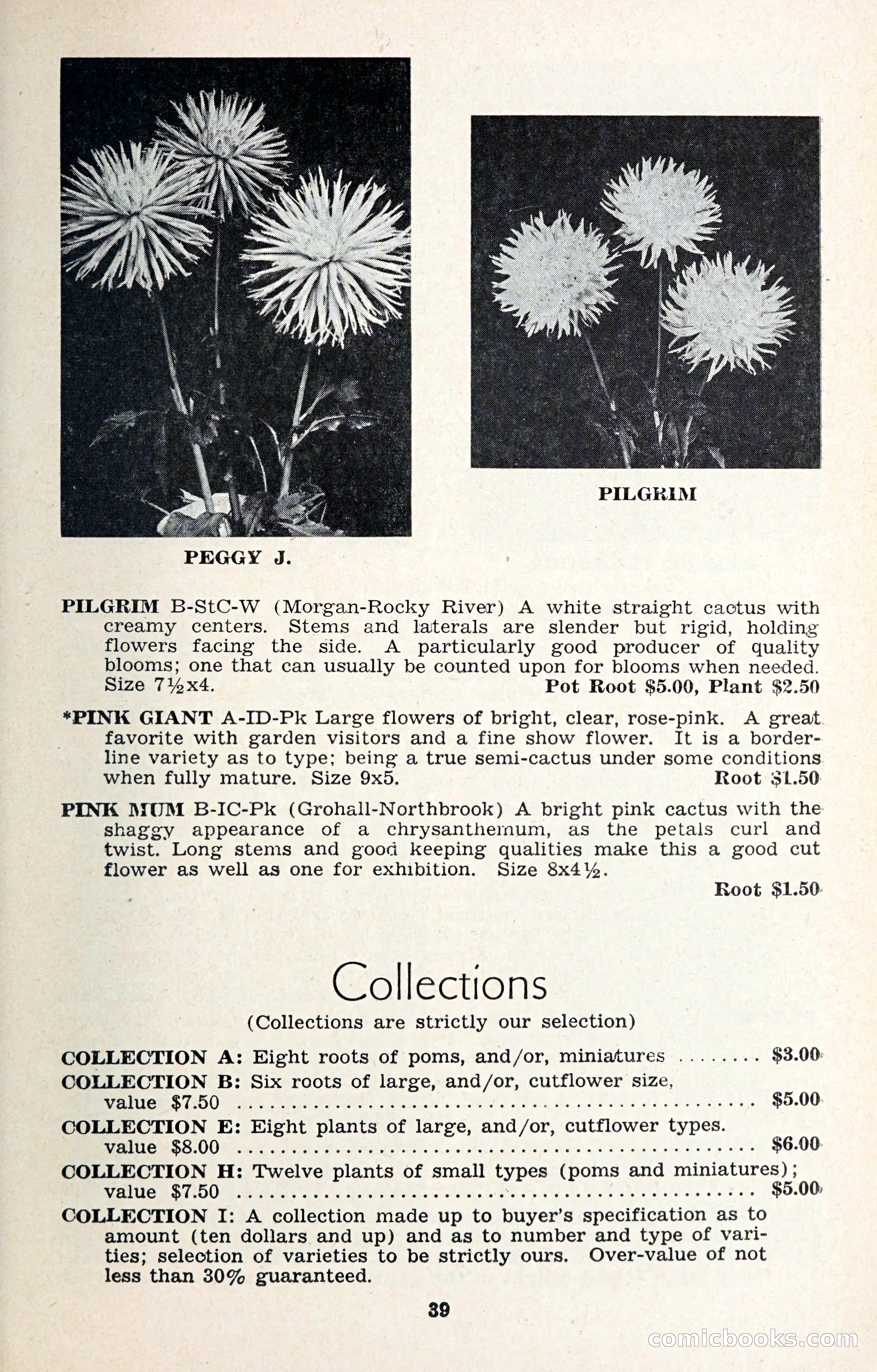 The Dahlia Blue Book for 1957 — page 42 of 69