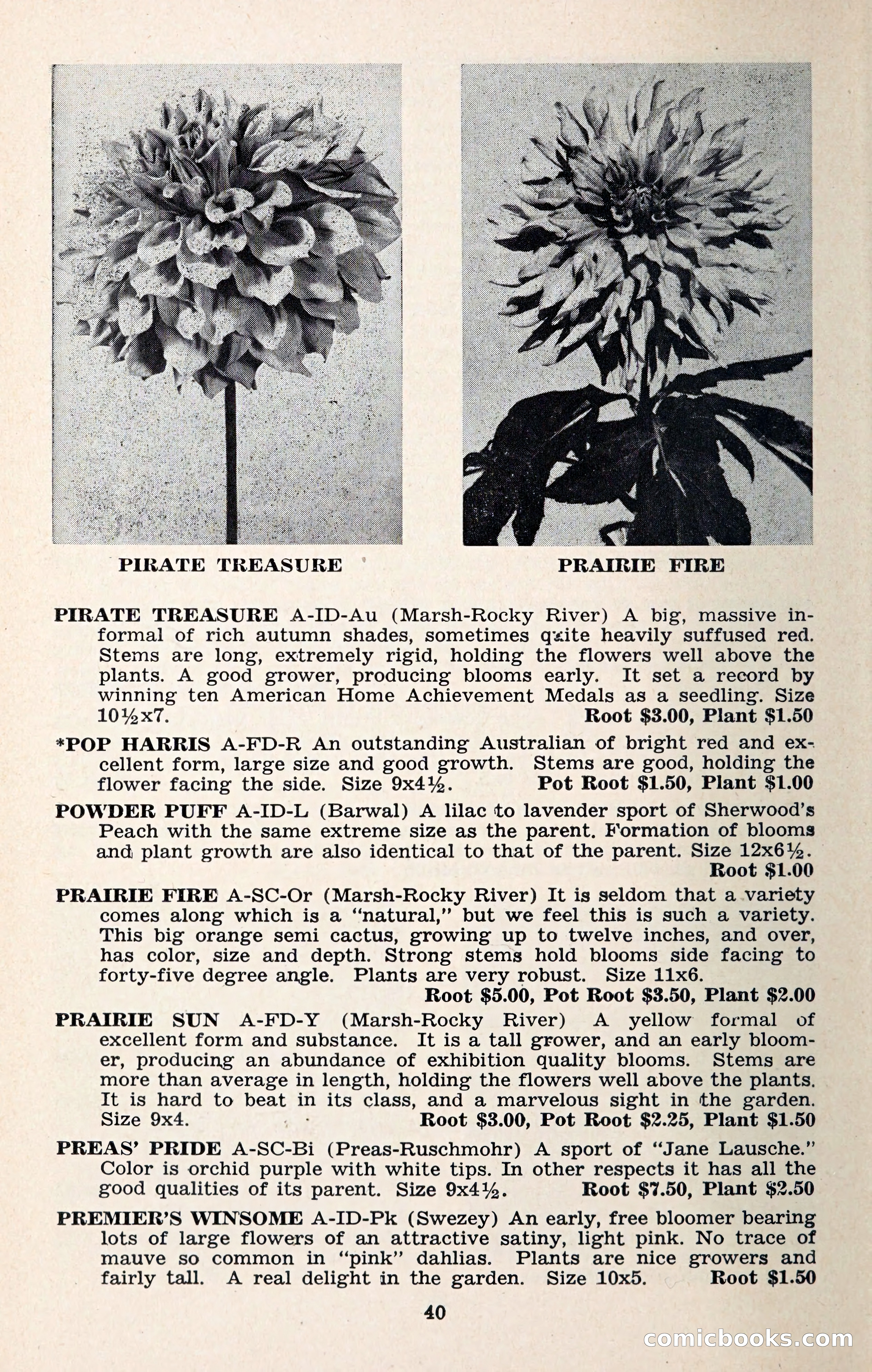 The Dahlia Blue Book for 1957 — page 43 of 69