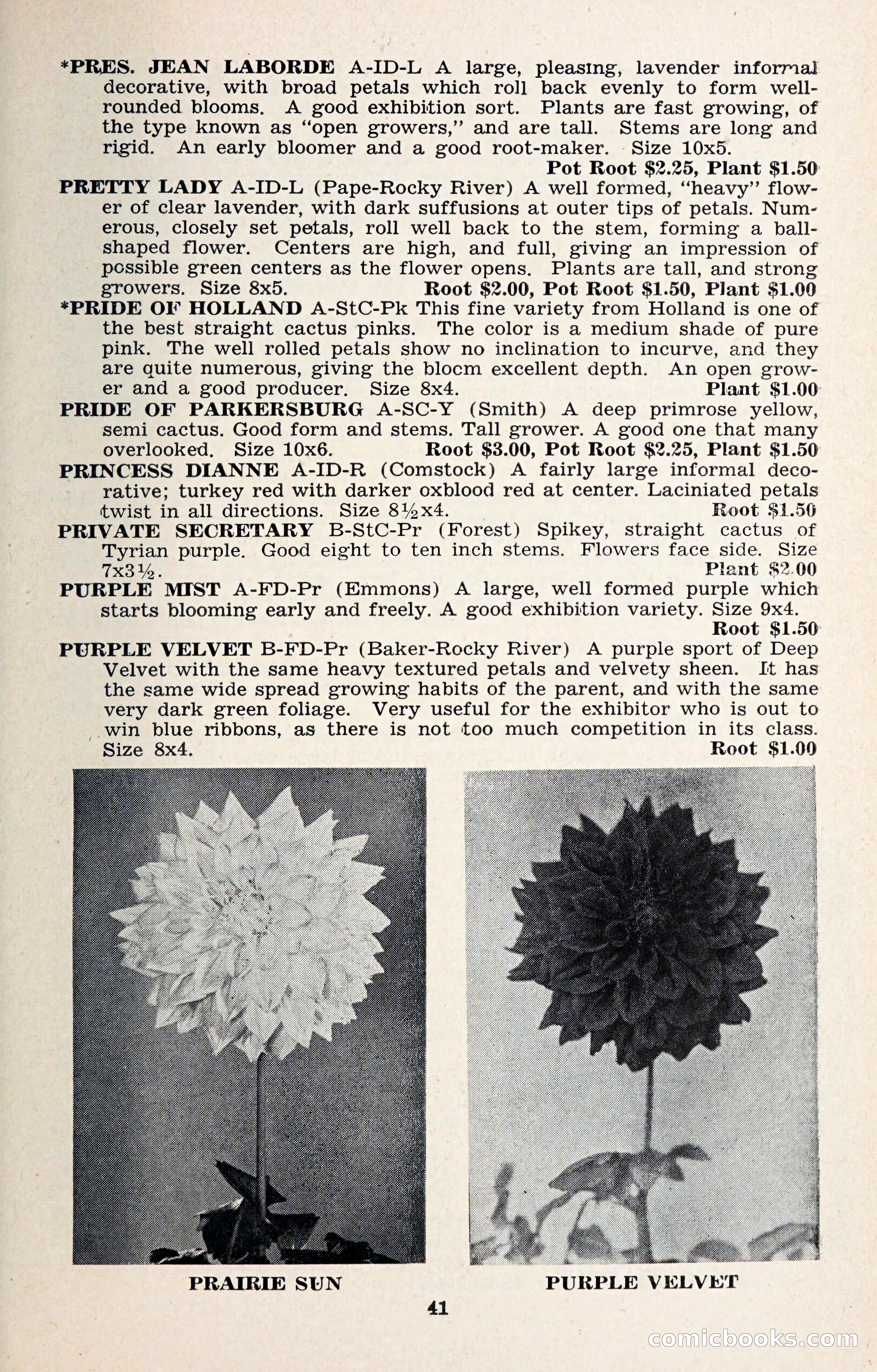 The Dahlia Blue Book for 1957 — page 44 of 69
