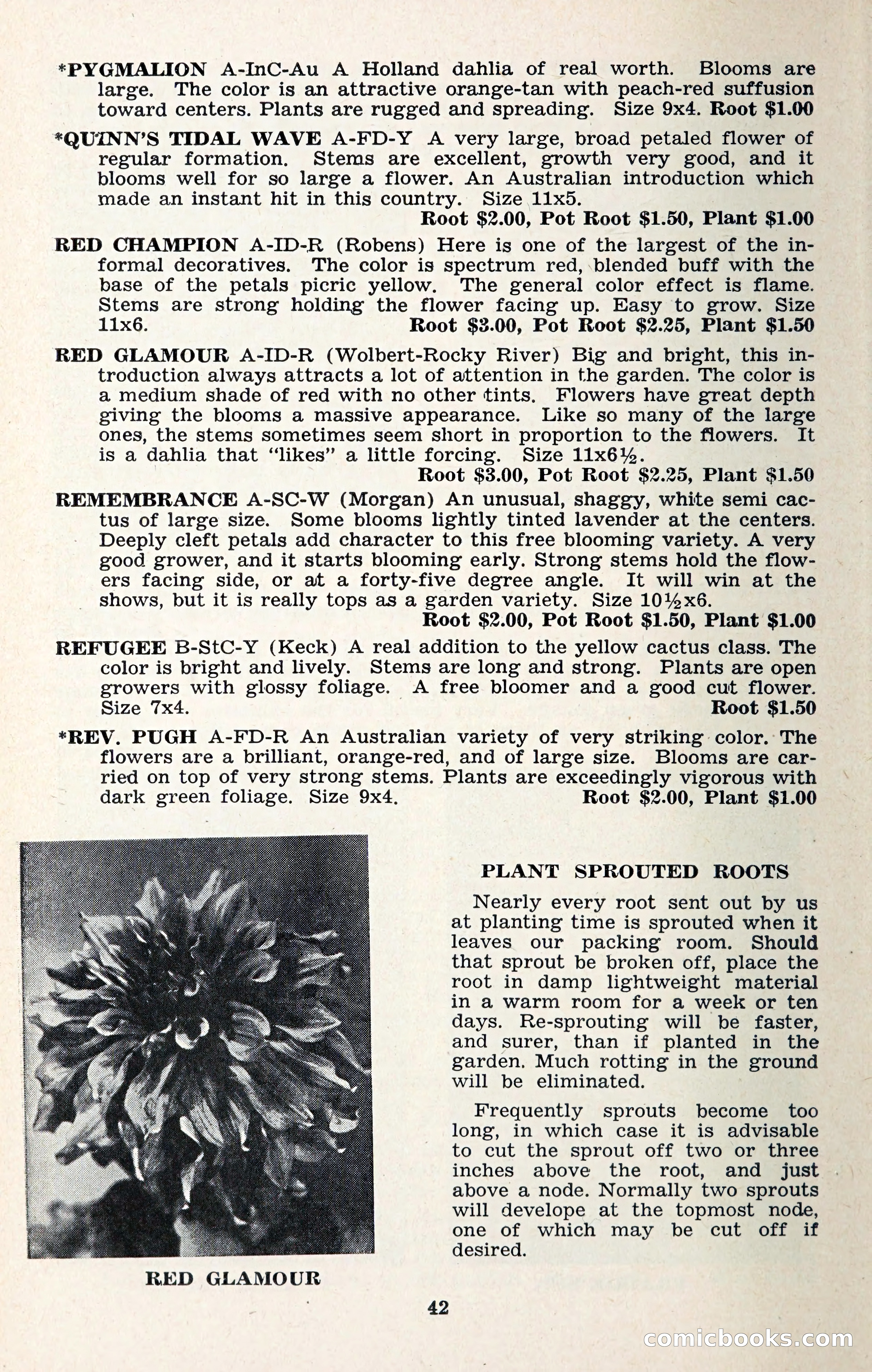 The Dahlia Blue Book for 1957 — page 45 of 69