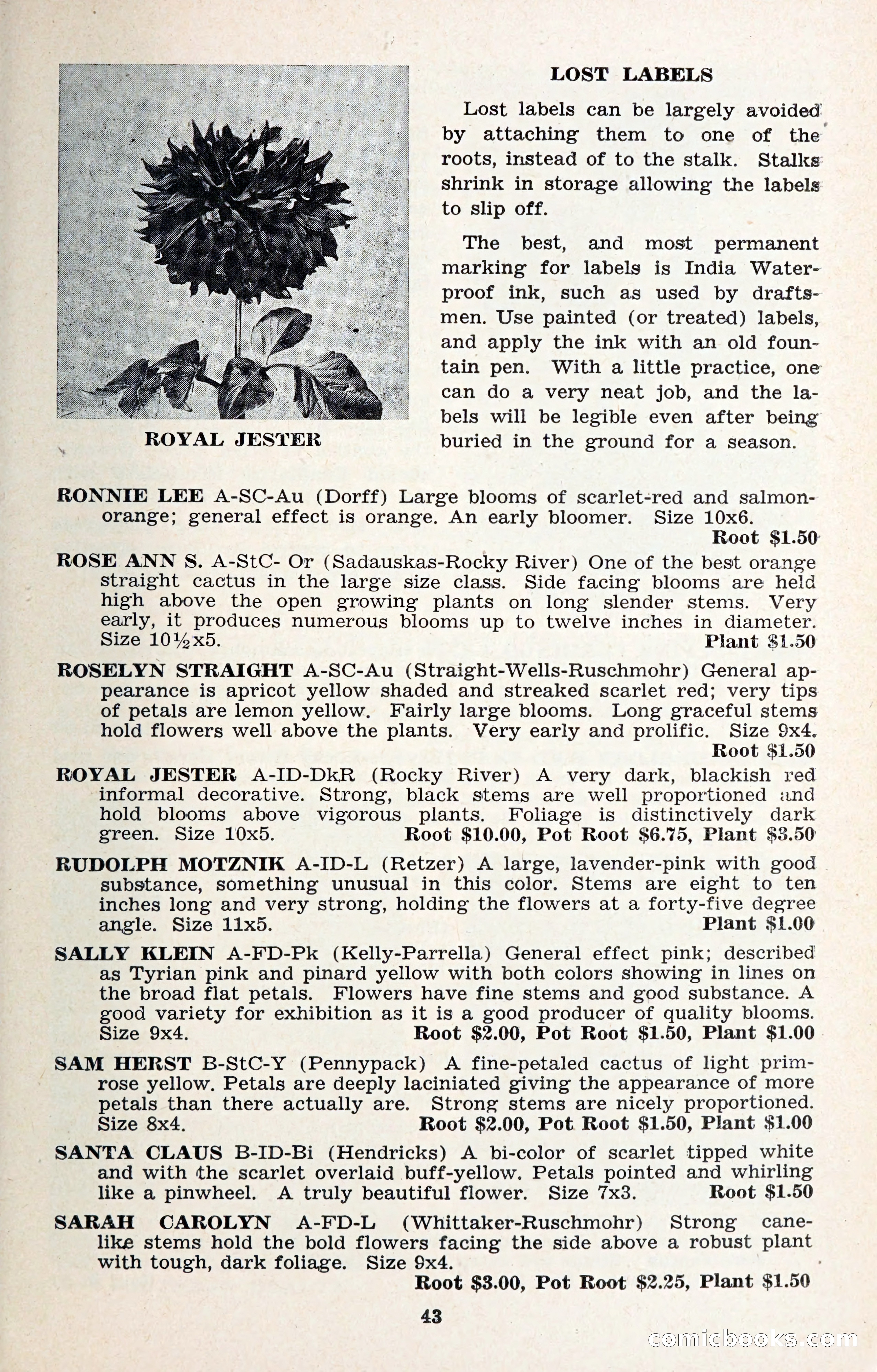 The Dahlia Blue Book for 1957 — page 46 of 69