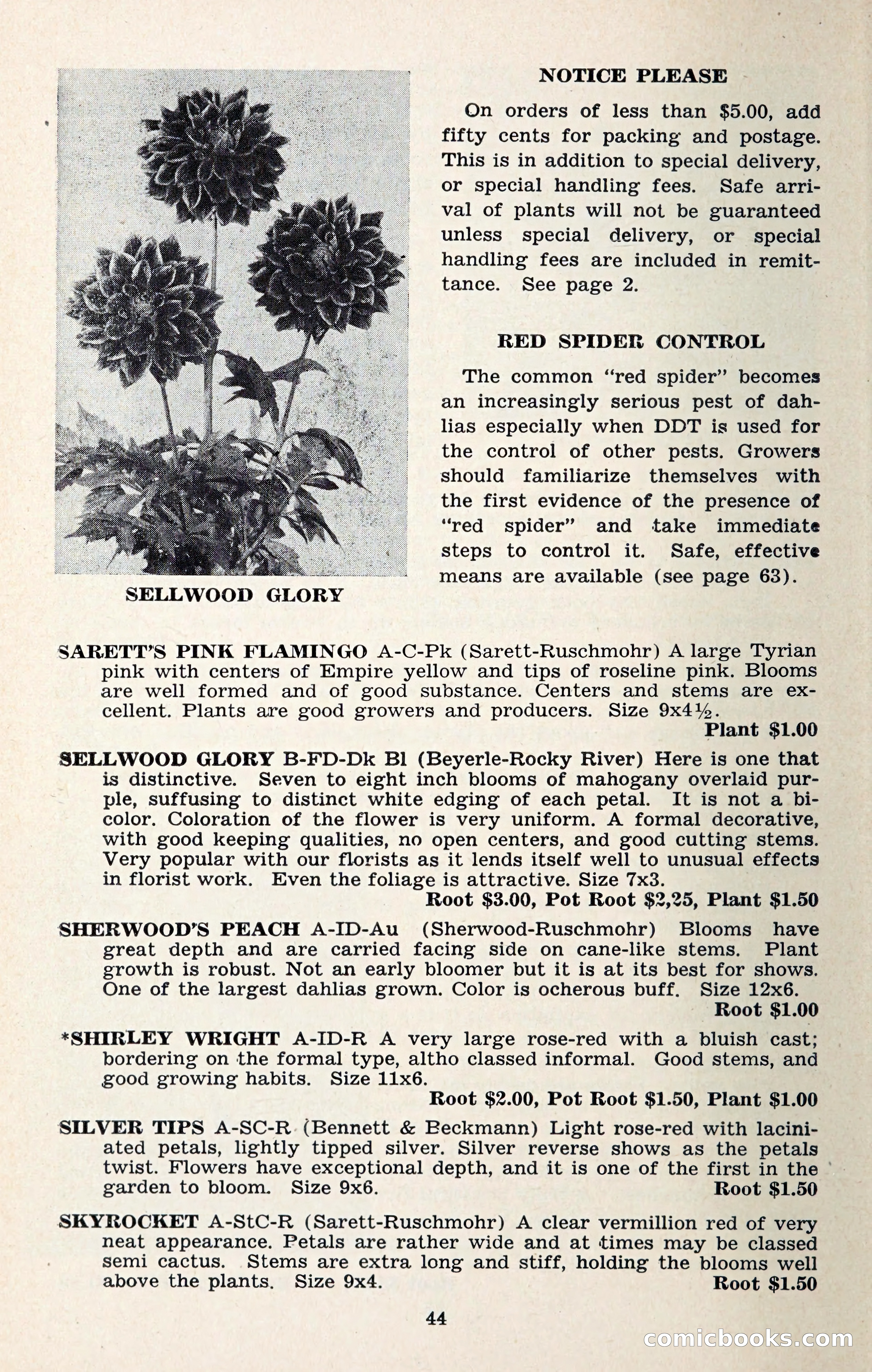 The Dahlia Blue Book for 1957 — page 47 of 69