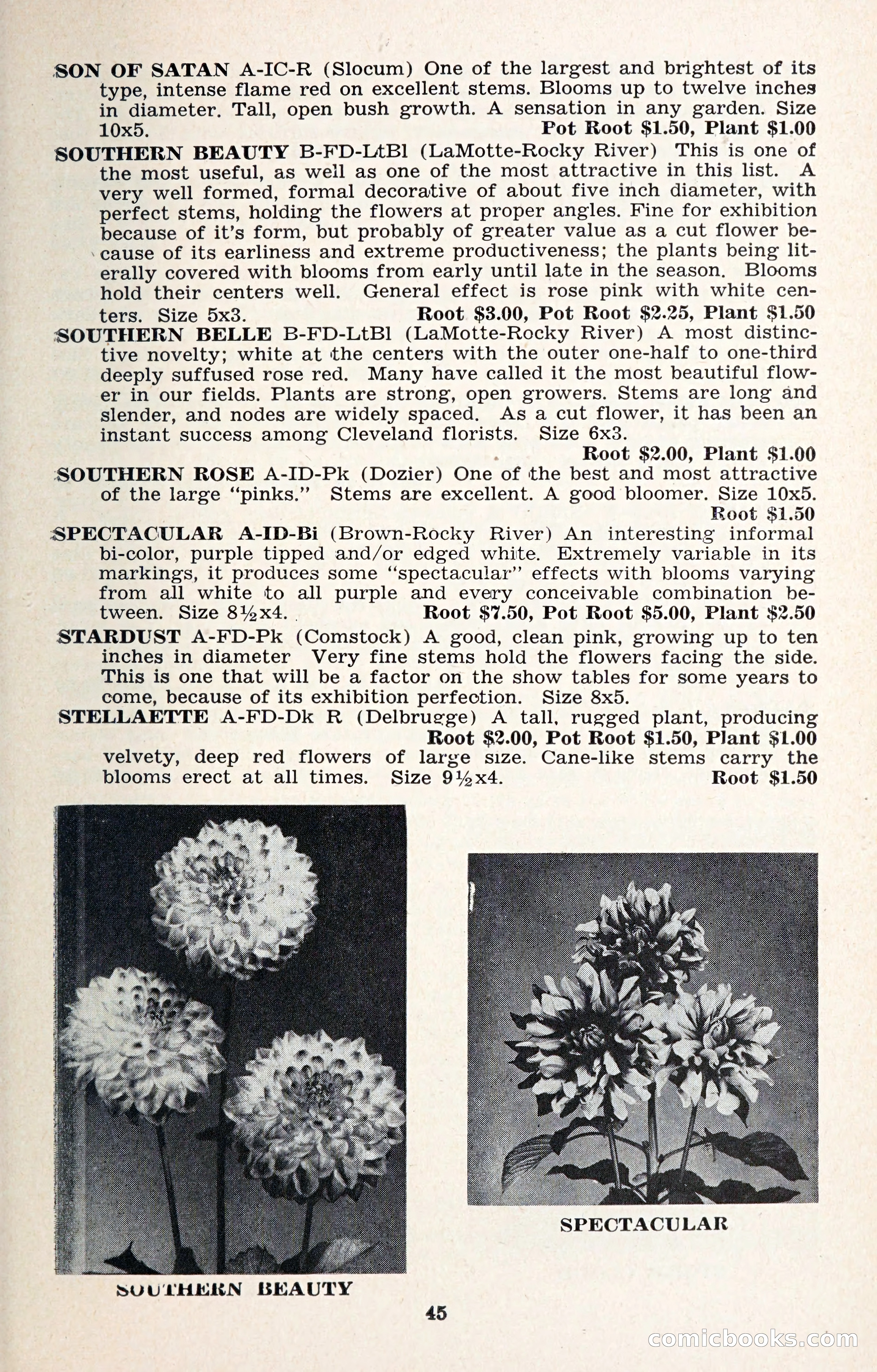 The Dahlia Blue Book for 1957 — page 48 of 69