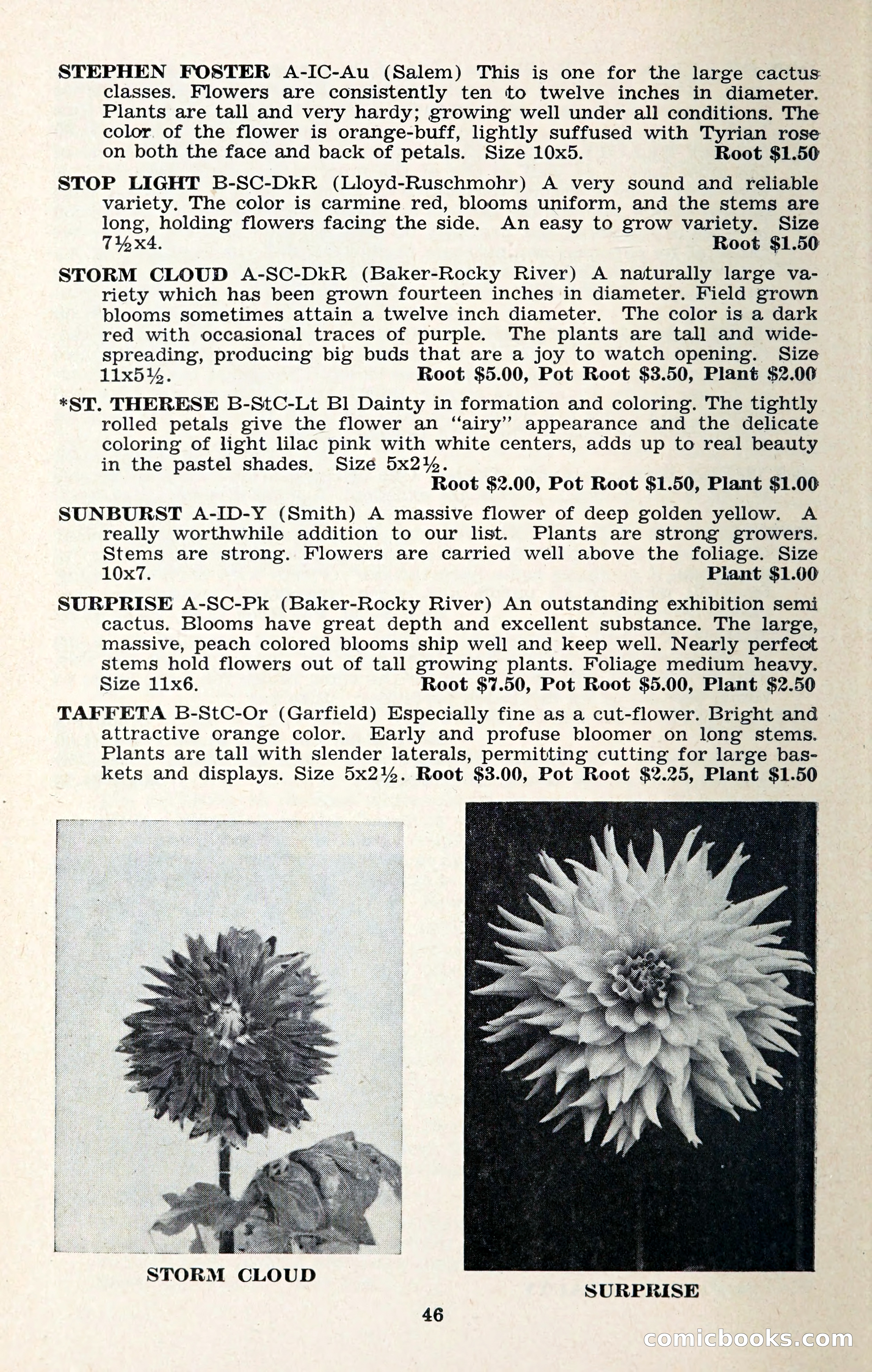 The Dahlia Blue Book for 1957 — page 49 of 69