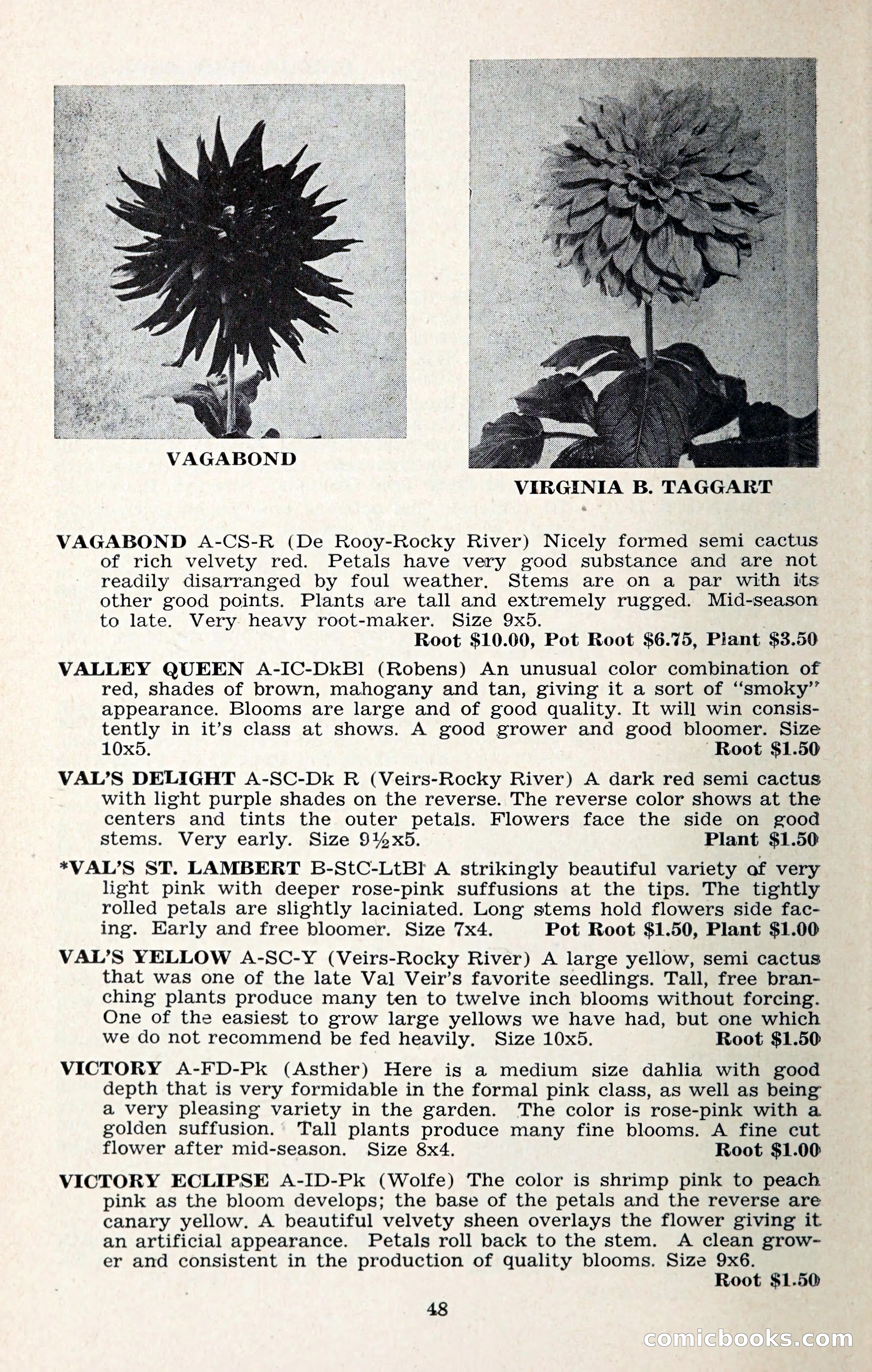 The Dahlia Blue Book for 1957 — page 51 of 69