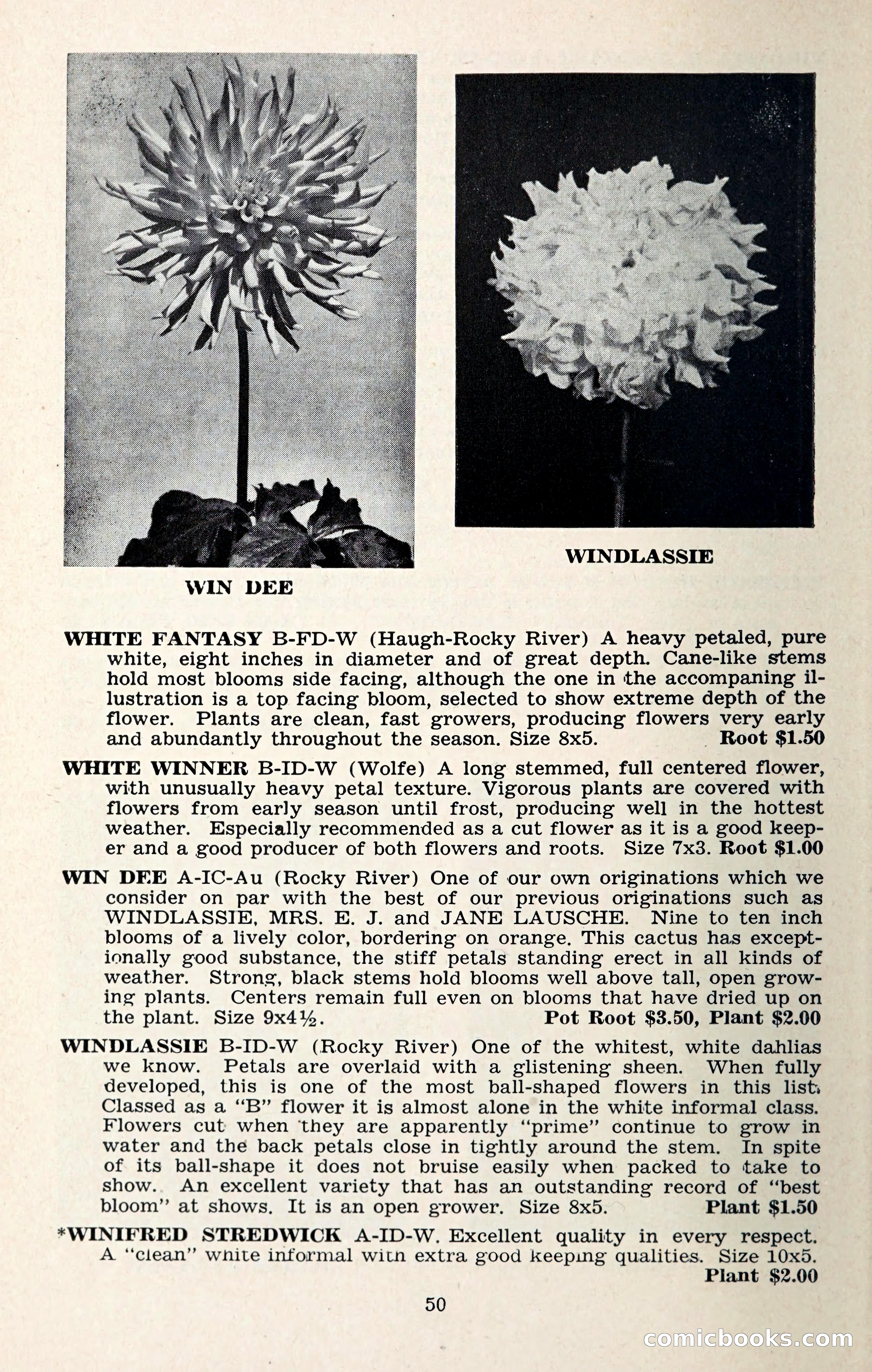 The Dahlia Blue Book for 1957 — page 53 of 69