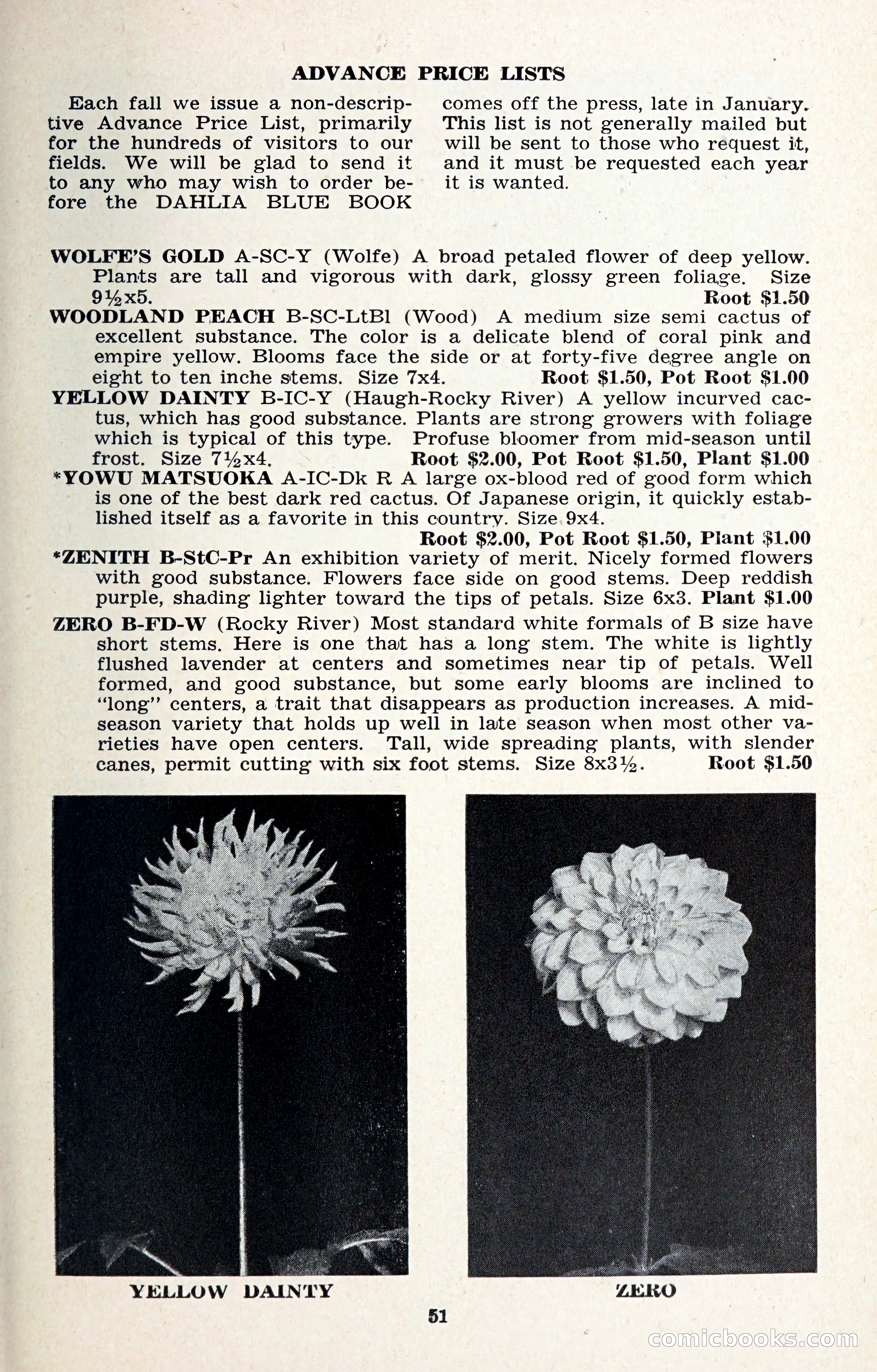 The Dahlia Blue Book for 1957 — page 54 of 69